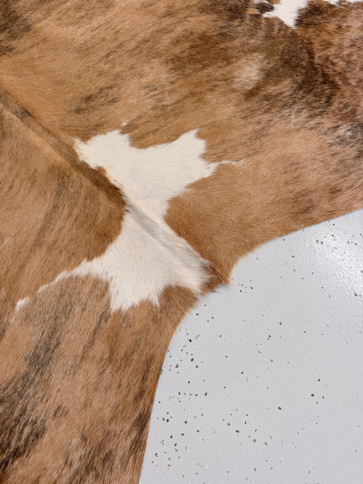 Genuine Cowhide Floor Rug 1112