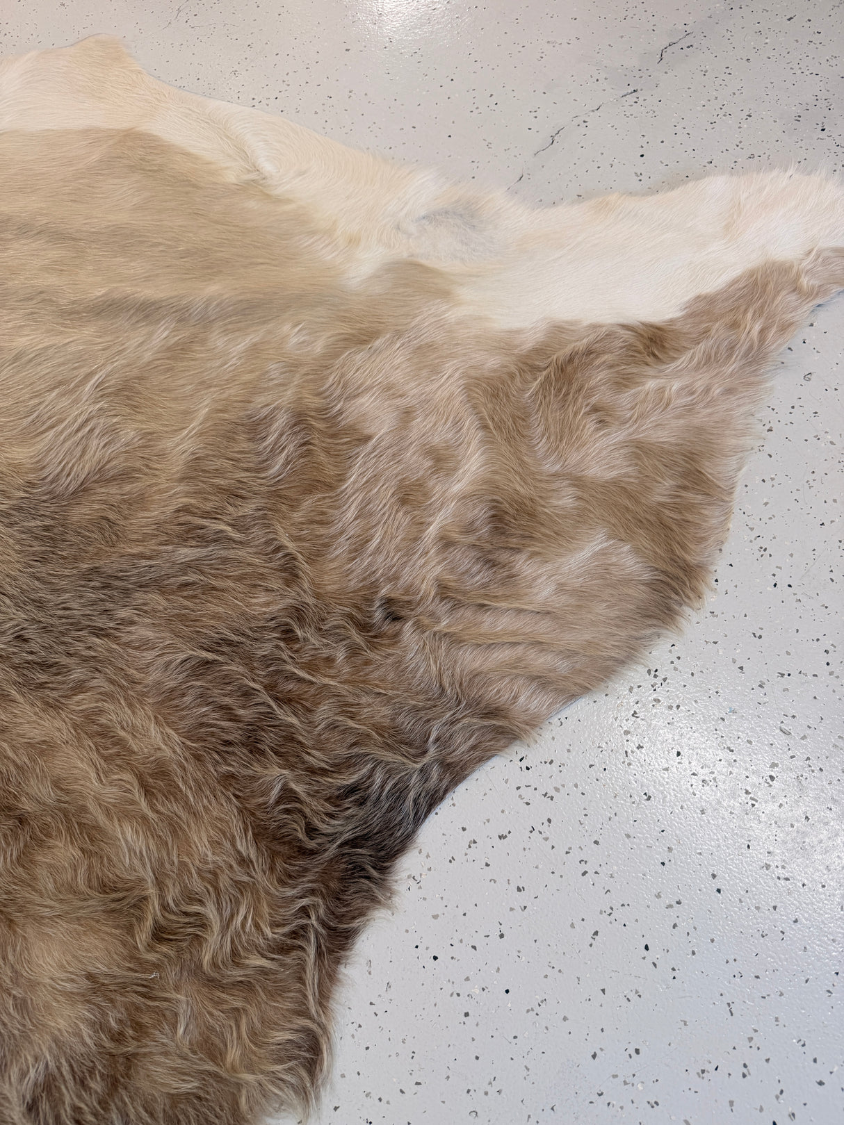 Genuine Cowhide Floor Rug 1229