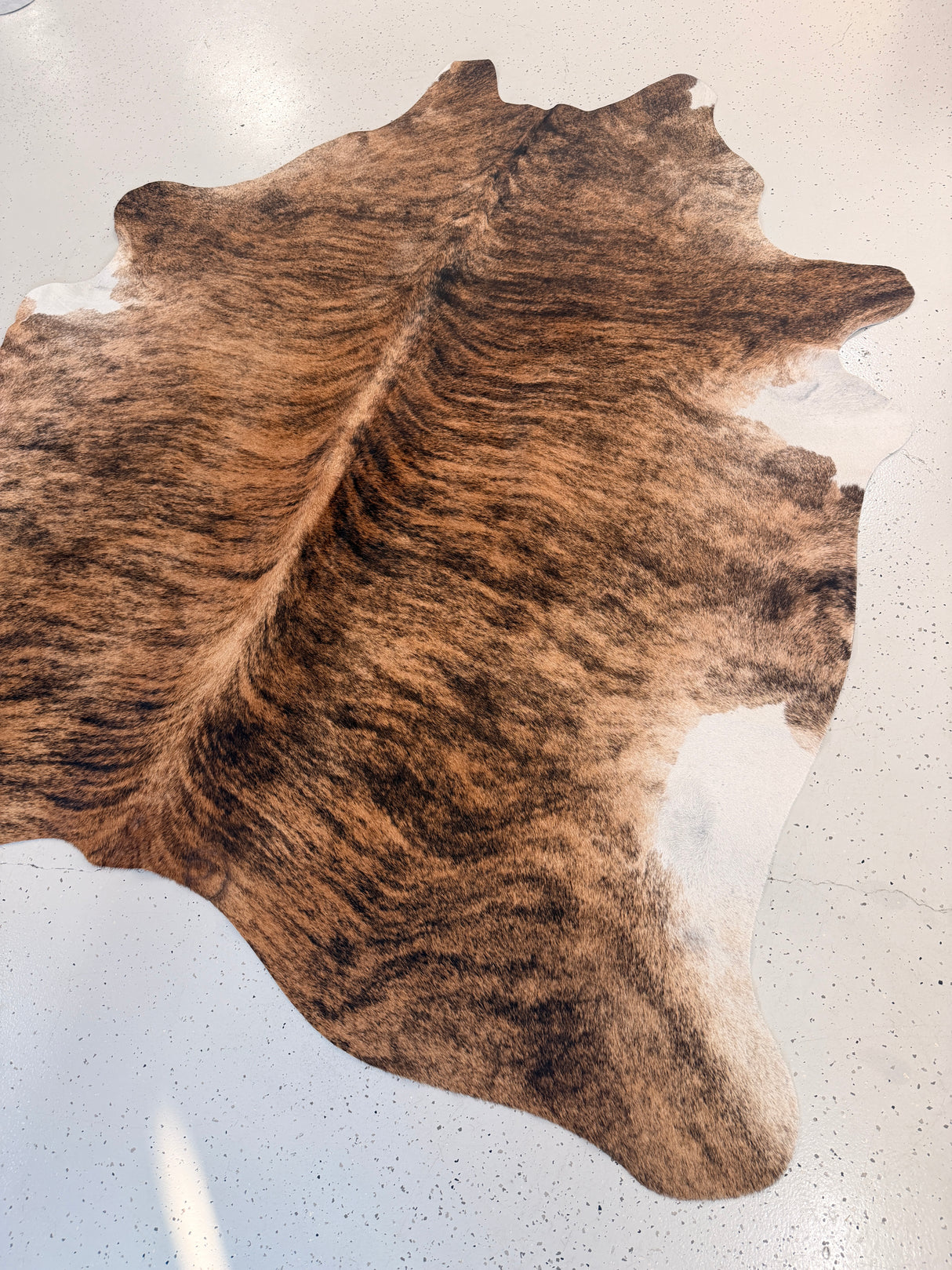 Genuine Cowhide Floor Rug 1231