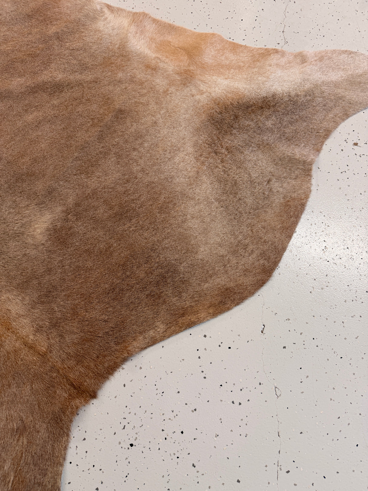 Genuine Cowhide Floor Rug 1234
