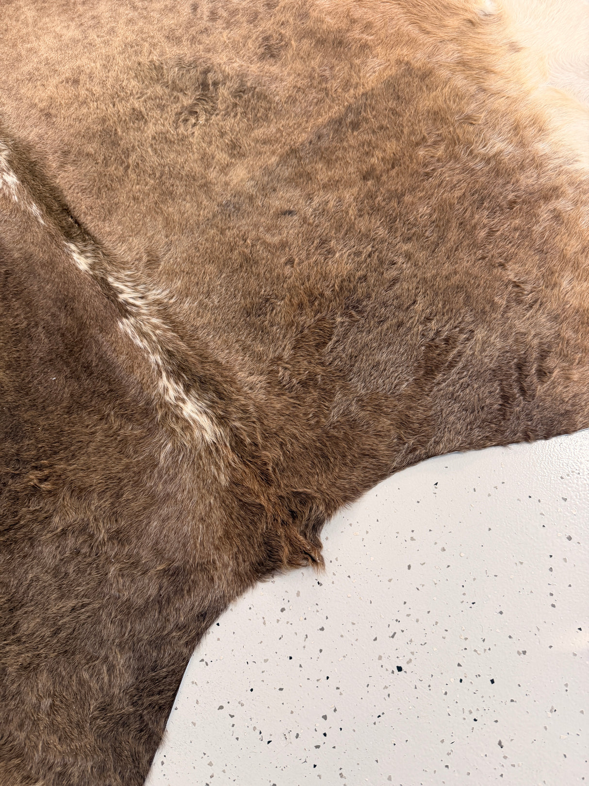Genuine Cowhide Floor Rug 1236