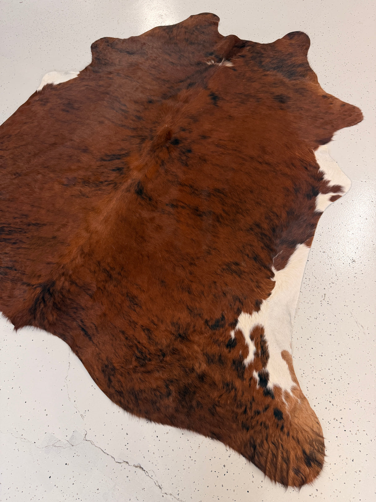 Genuine Cowhide Floor Rug 1237