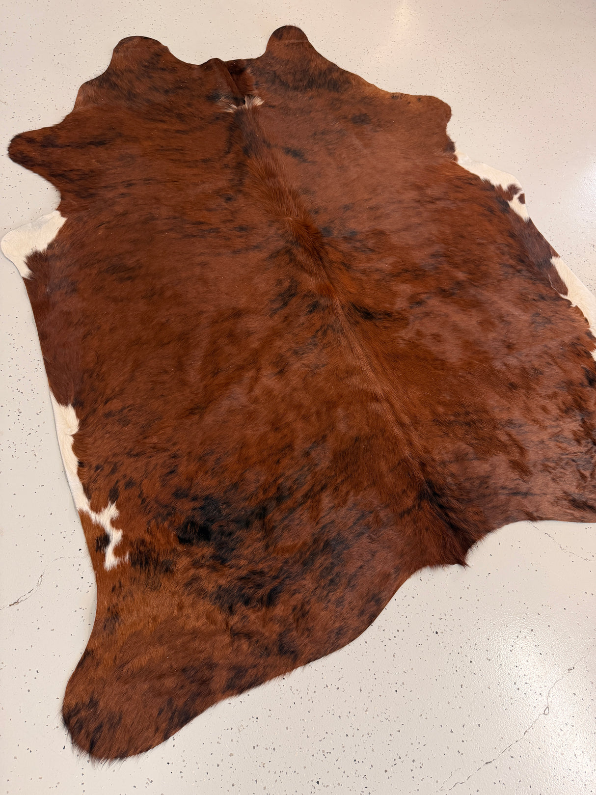 Genuine Cowhide Floor Rug 1237