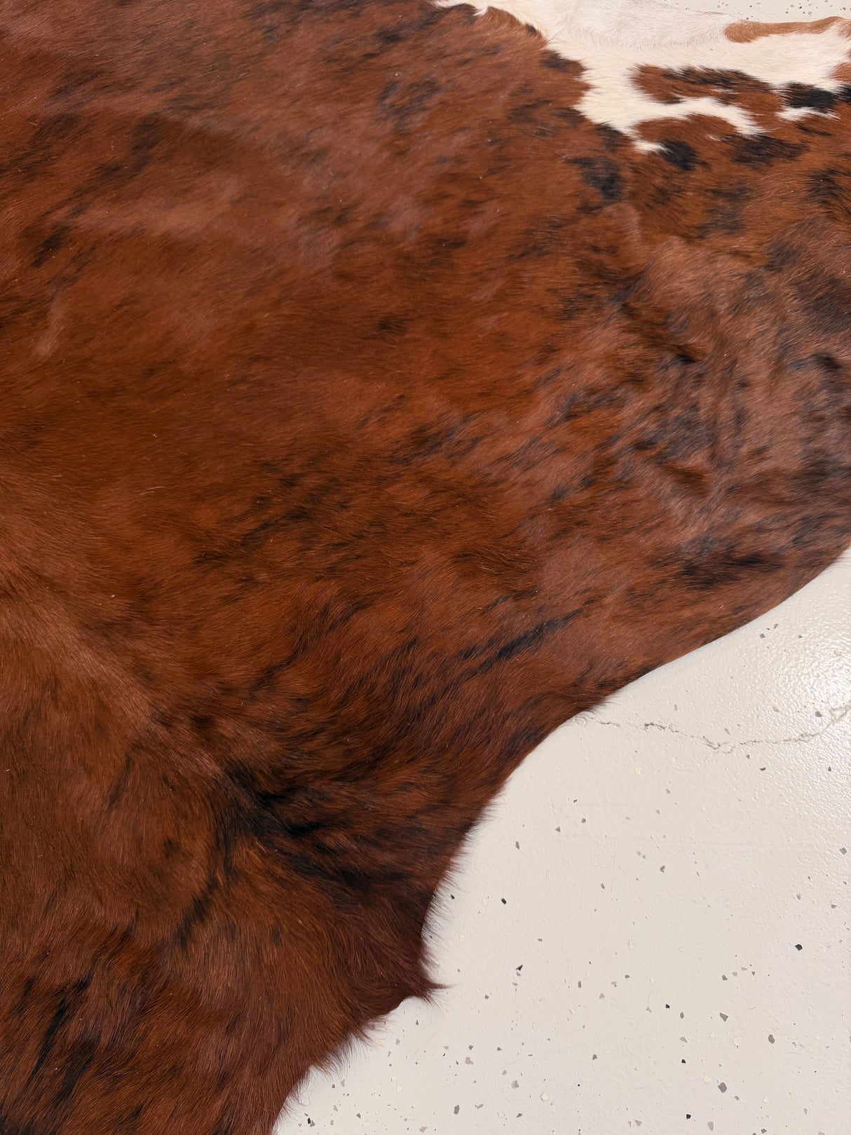 Genuine Cowhide Floor Rug 1237