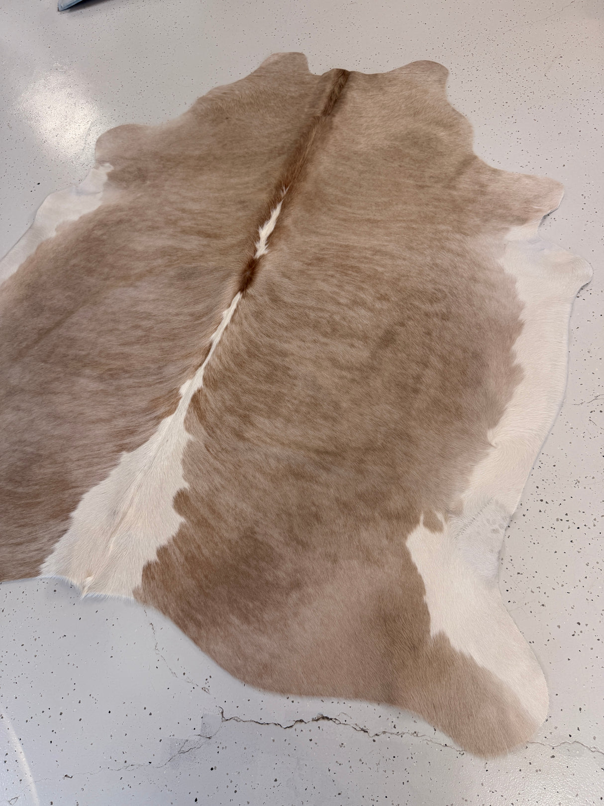 Genuine Cowhide Floor Rug 1238