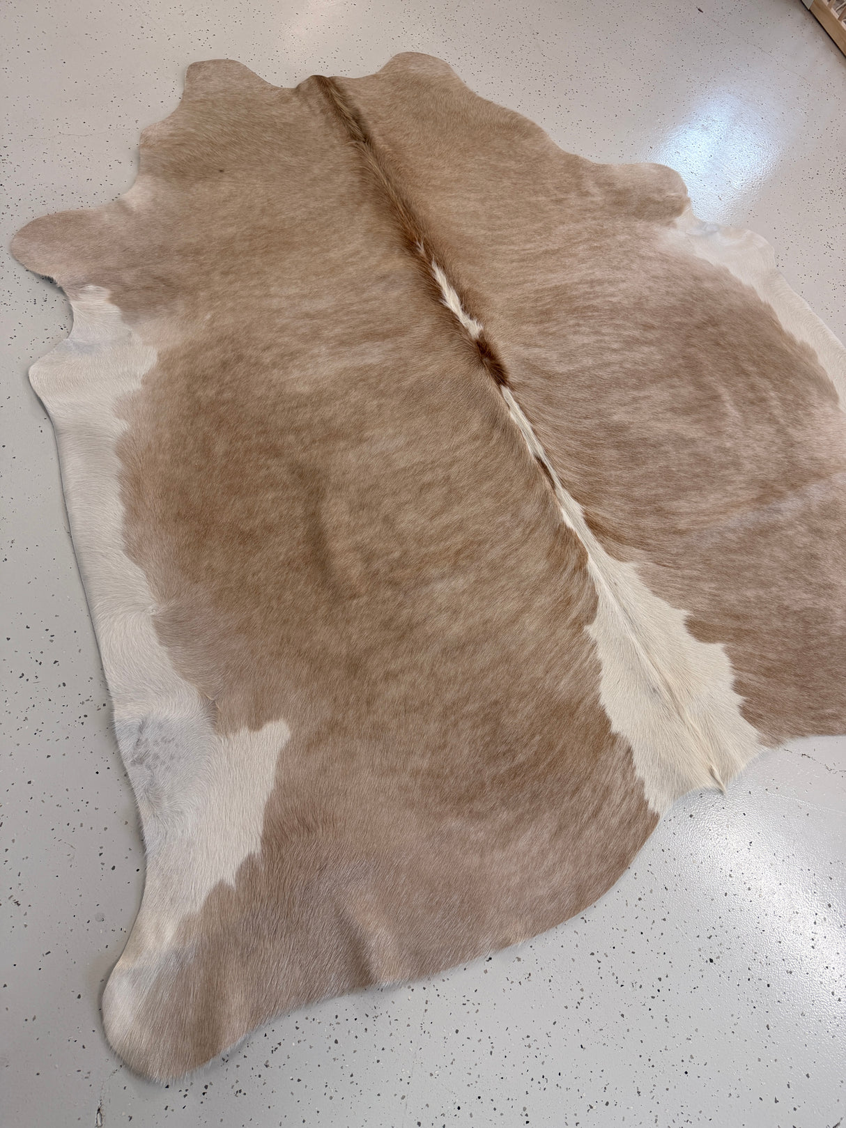 Genuine Cowhide Floor Rug 1238