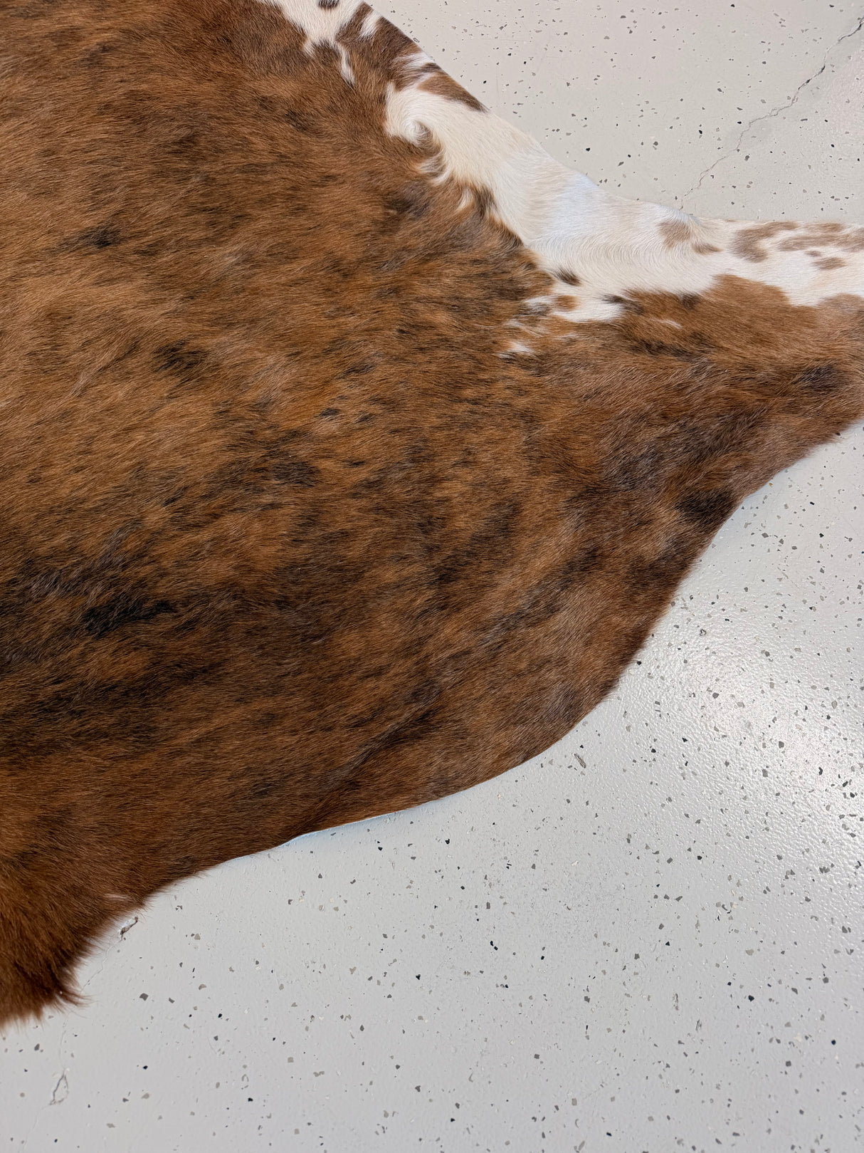Genuine Cowhide Floor Rug 1189