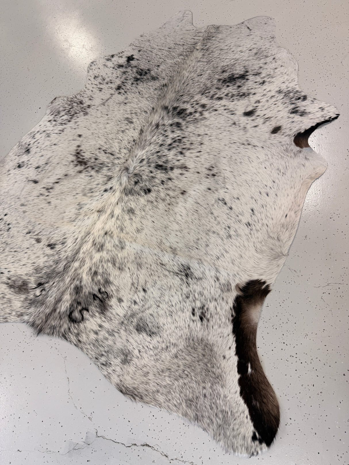 Genuine Cowhide Floor Rug 1242
