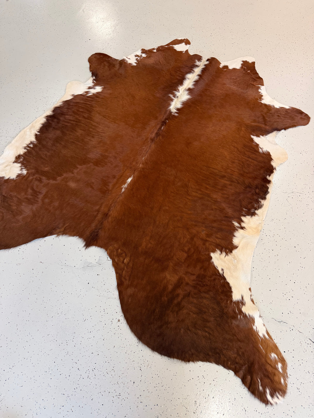 Genuine Cowhide Floor Rug 1192