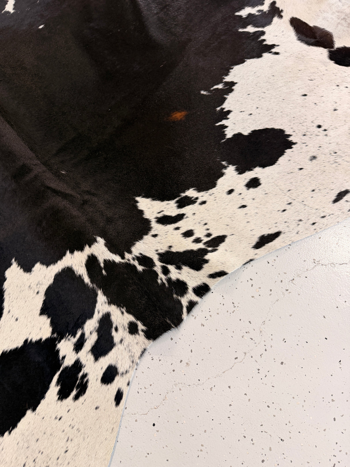 Genuine Cowhide Floor Rug 1244