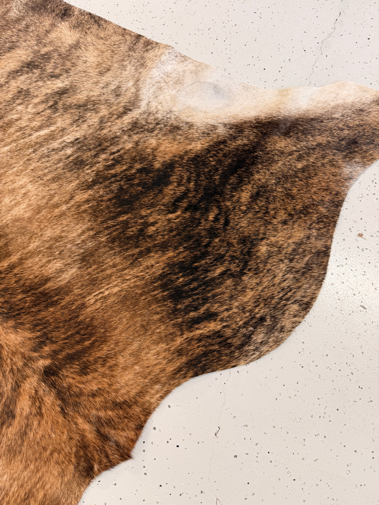 Genuine Cowhide Floor Rug 1245