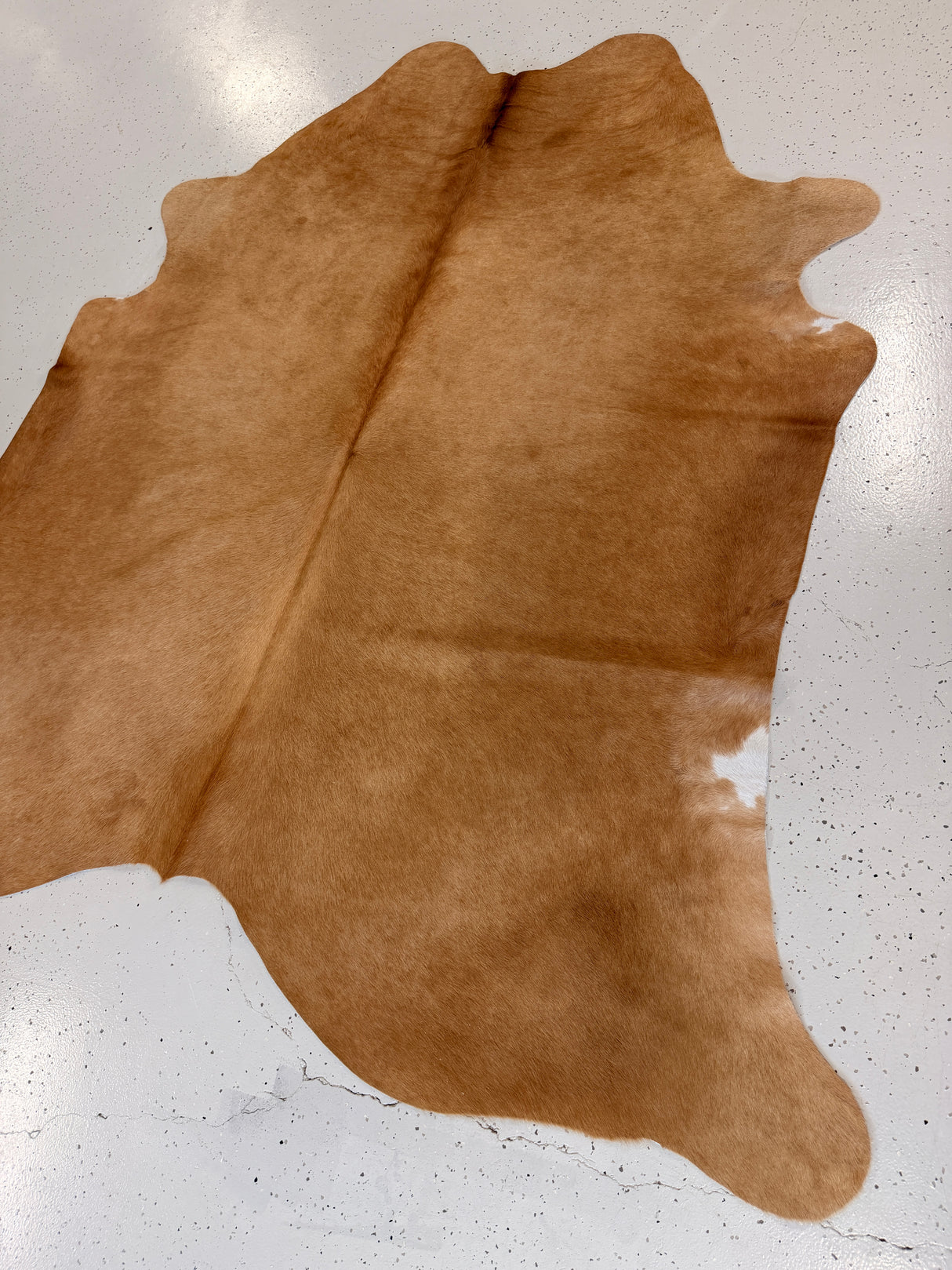 Genuine Cowhide Floor Rug 1246