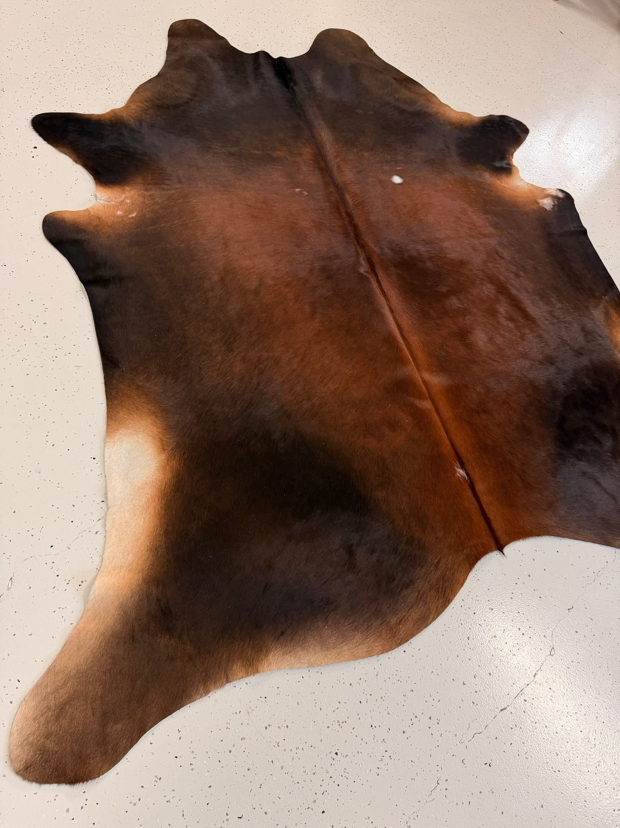 Genuine Cowhide Floor Rug 1247