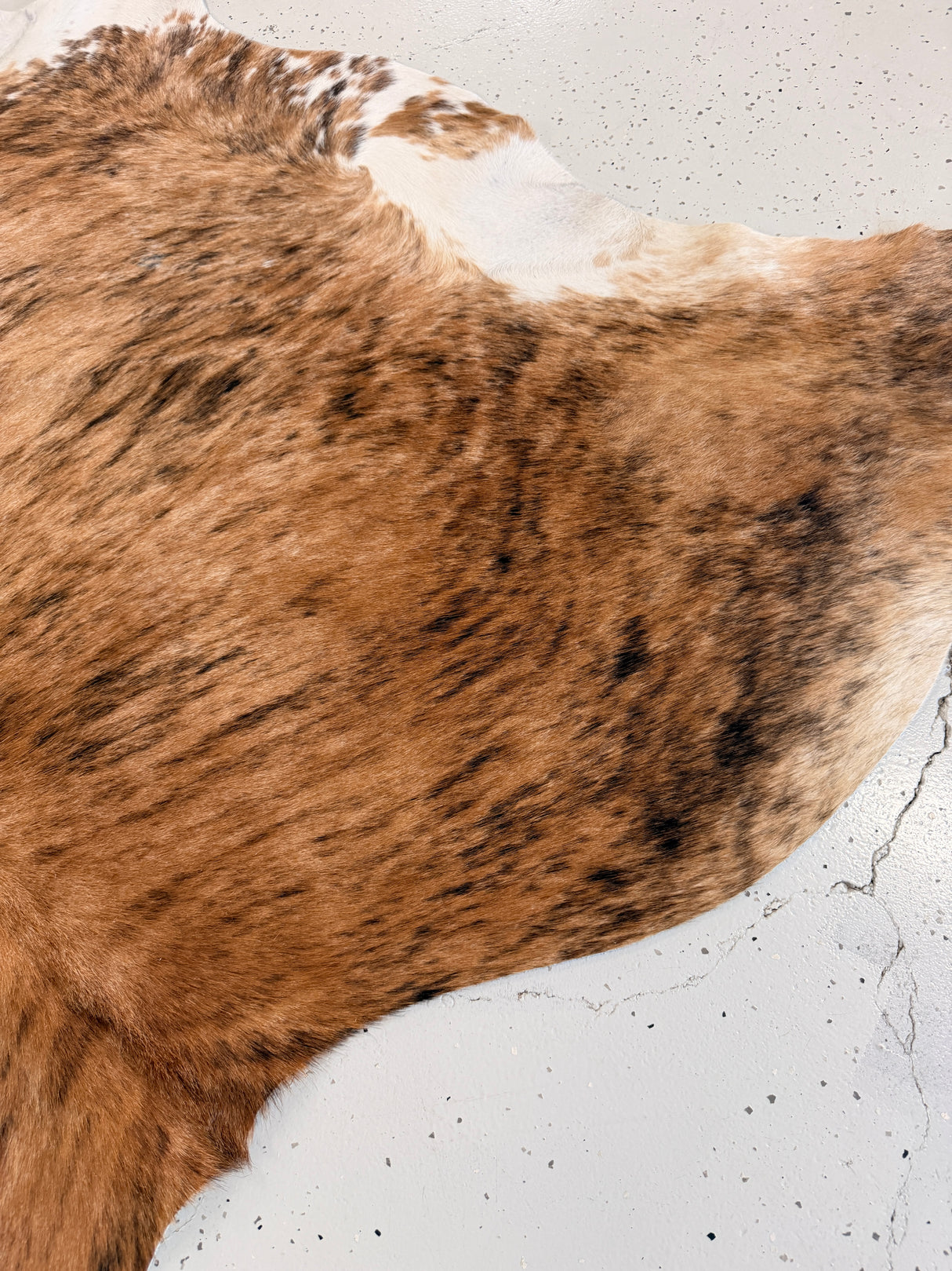 Genuine Cowhide Floor Rug 1248