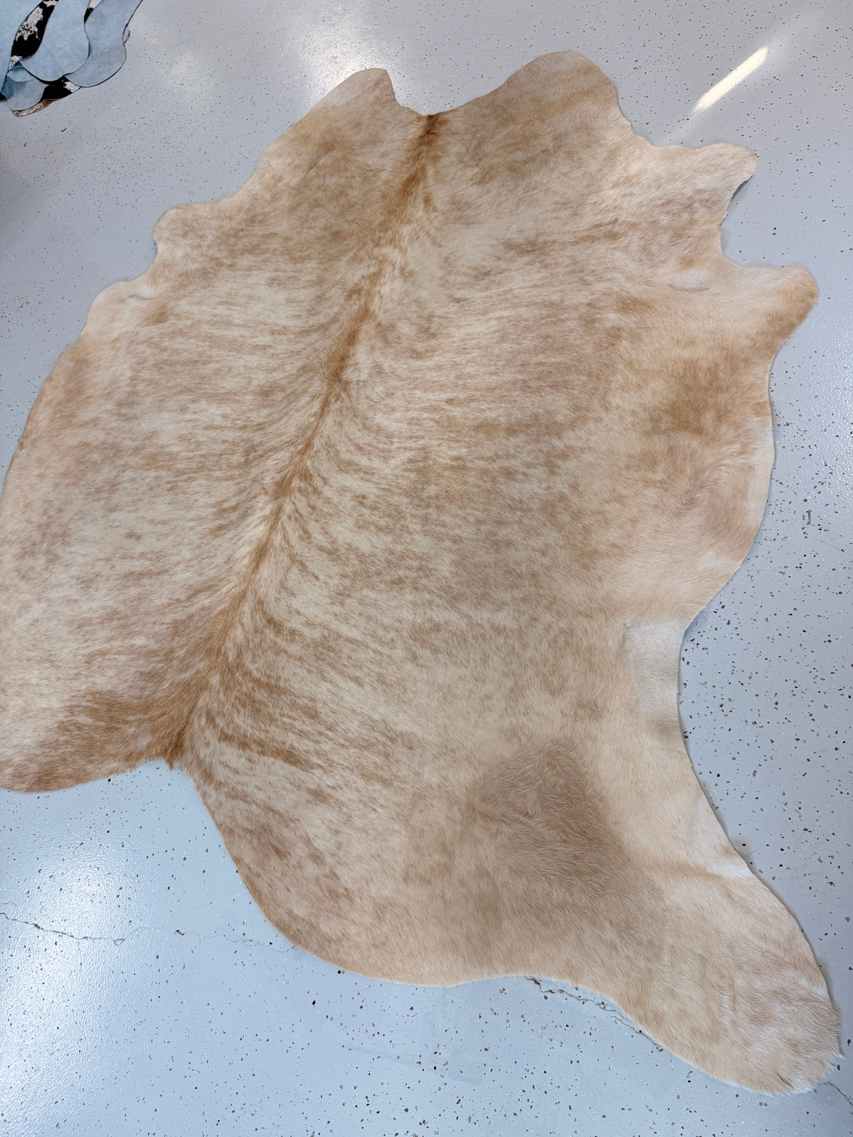 Genuine Cowhide Floor Rug 1249