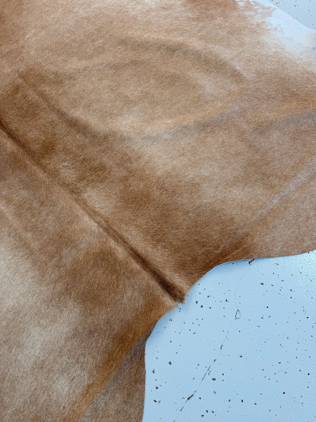 Genuine Cowhide Floor Rug 1200