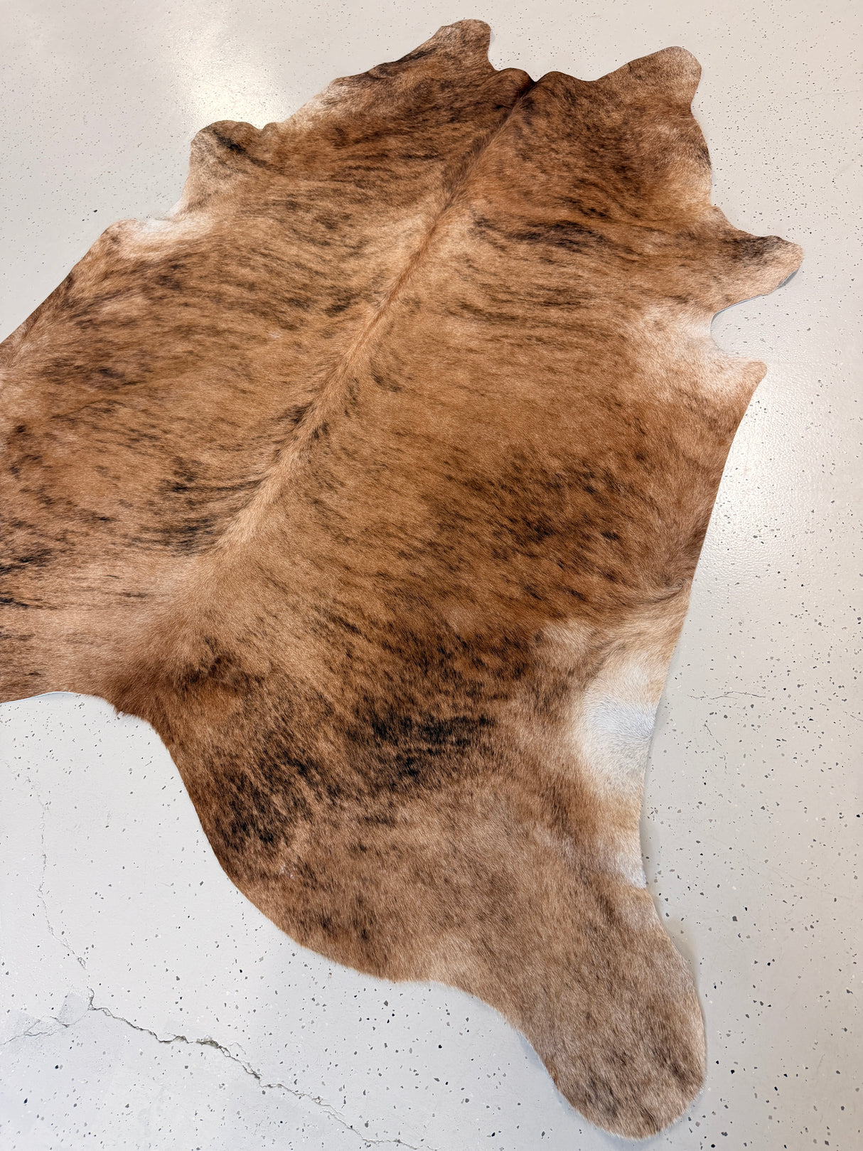 Genuine Cowhide Floor Rug 1259