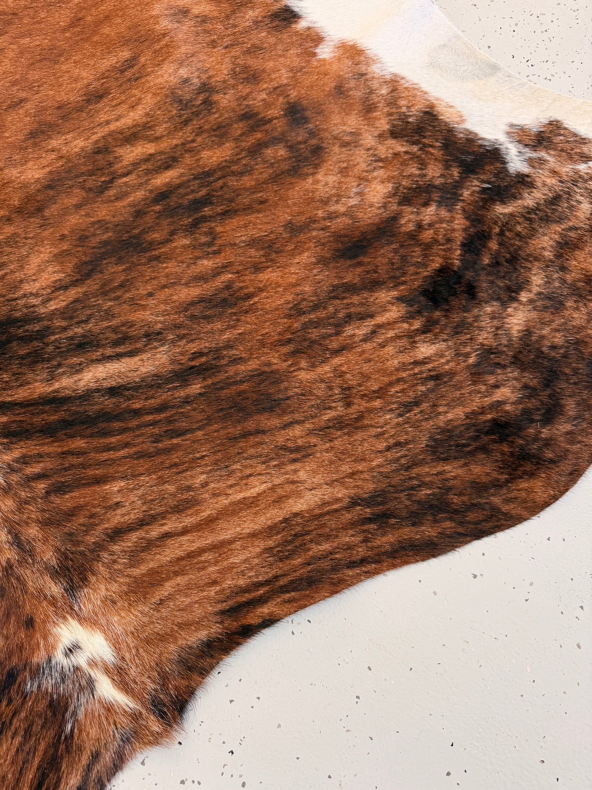 Genuine Cowhide Floor Rug 1204