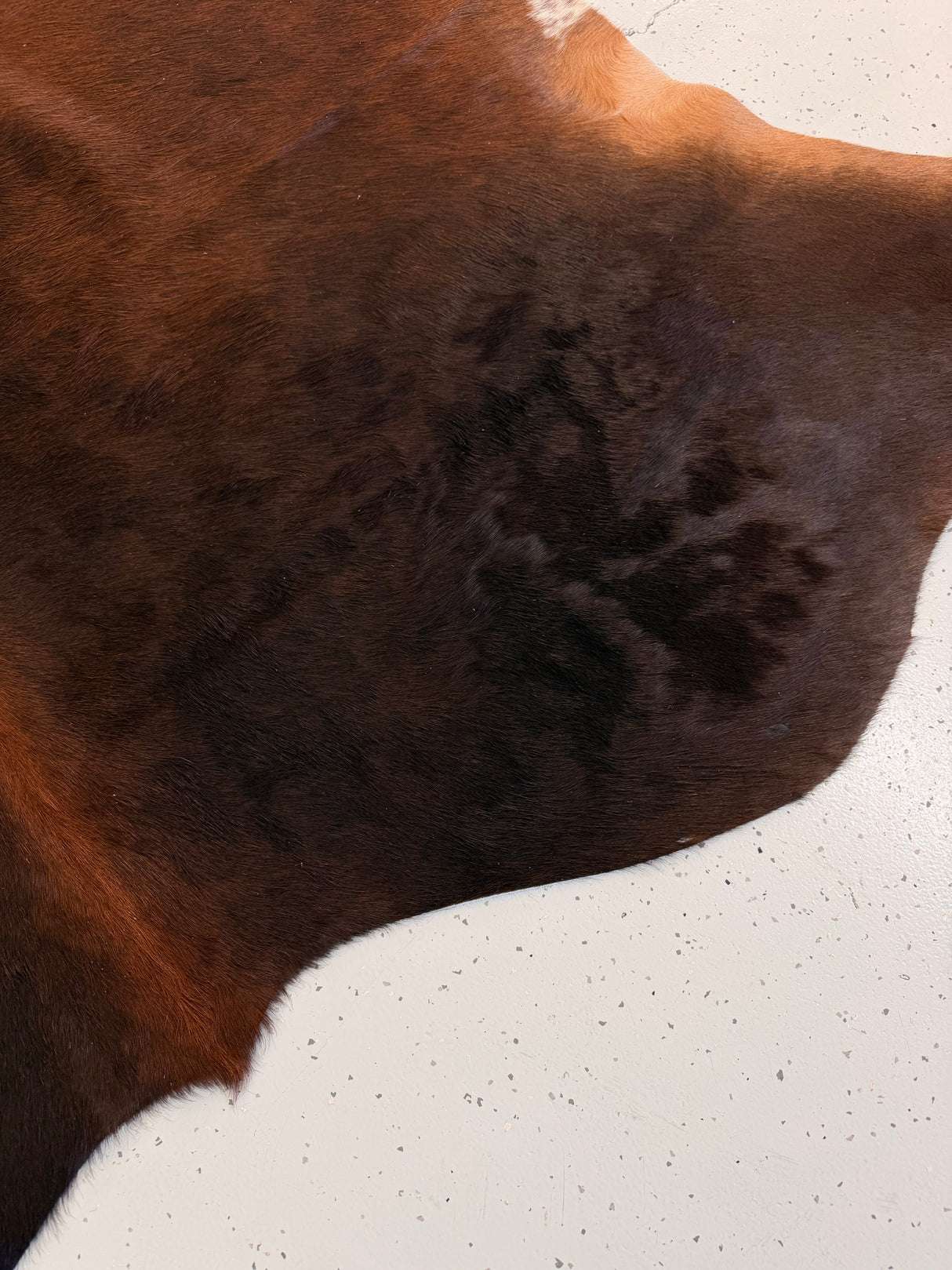 Genuine Cowhide Floor Rug 1205