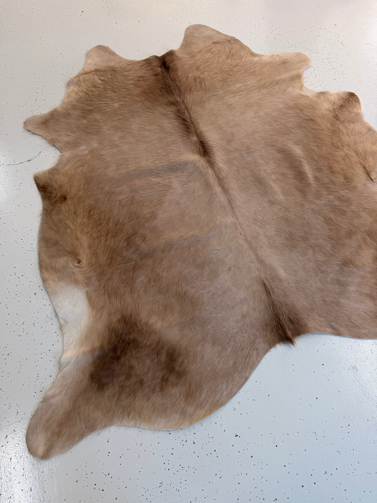 Genuine Cowhide Floor Rug 1206