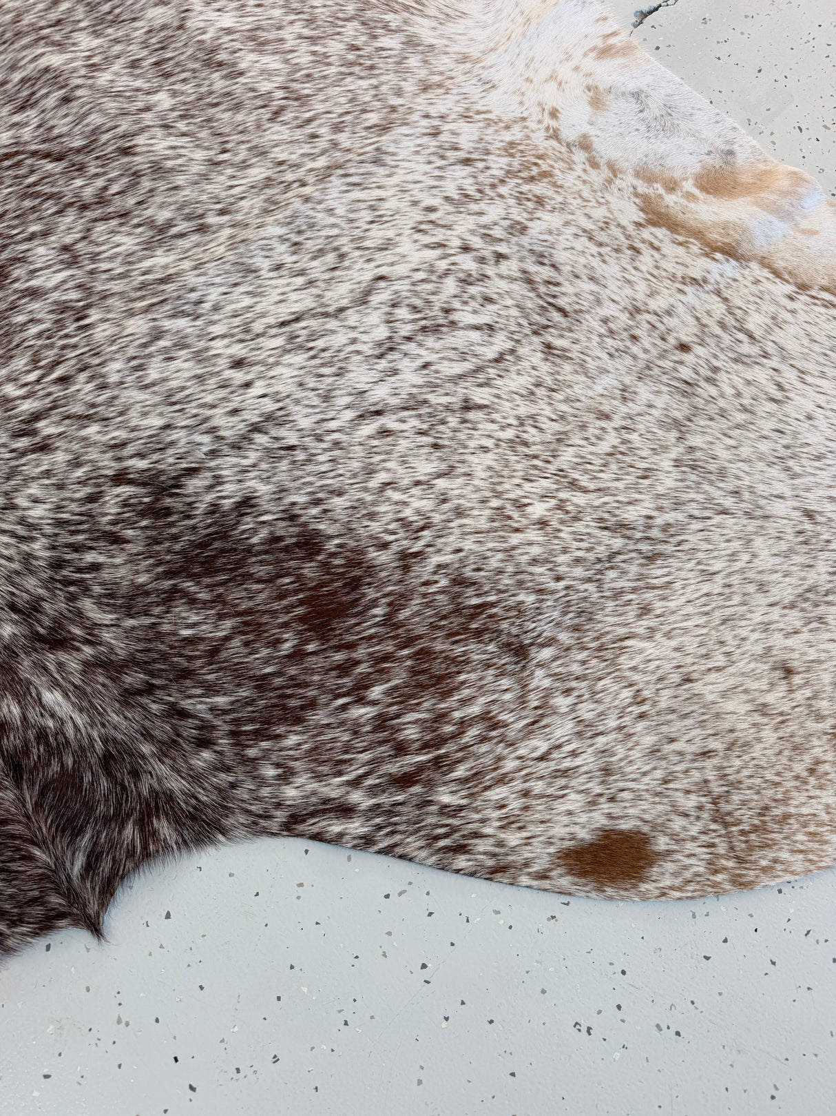 Genuine Cowhide Floor Rug 1207