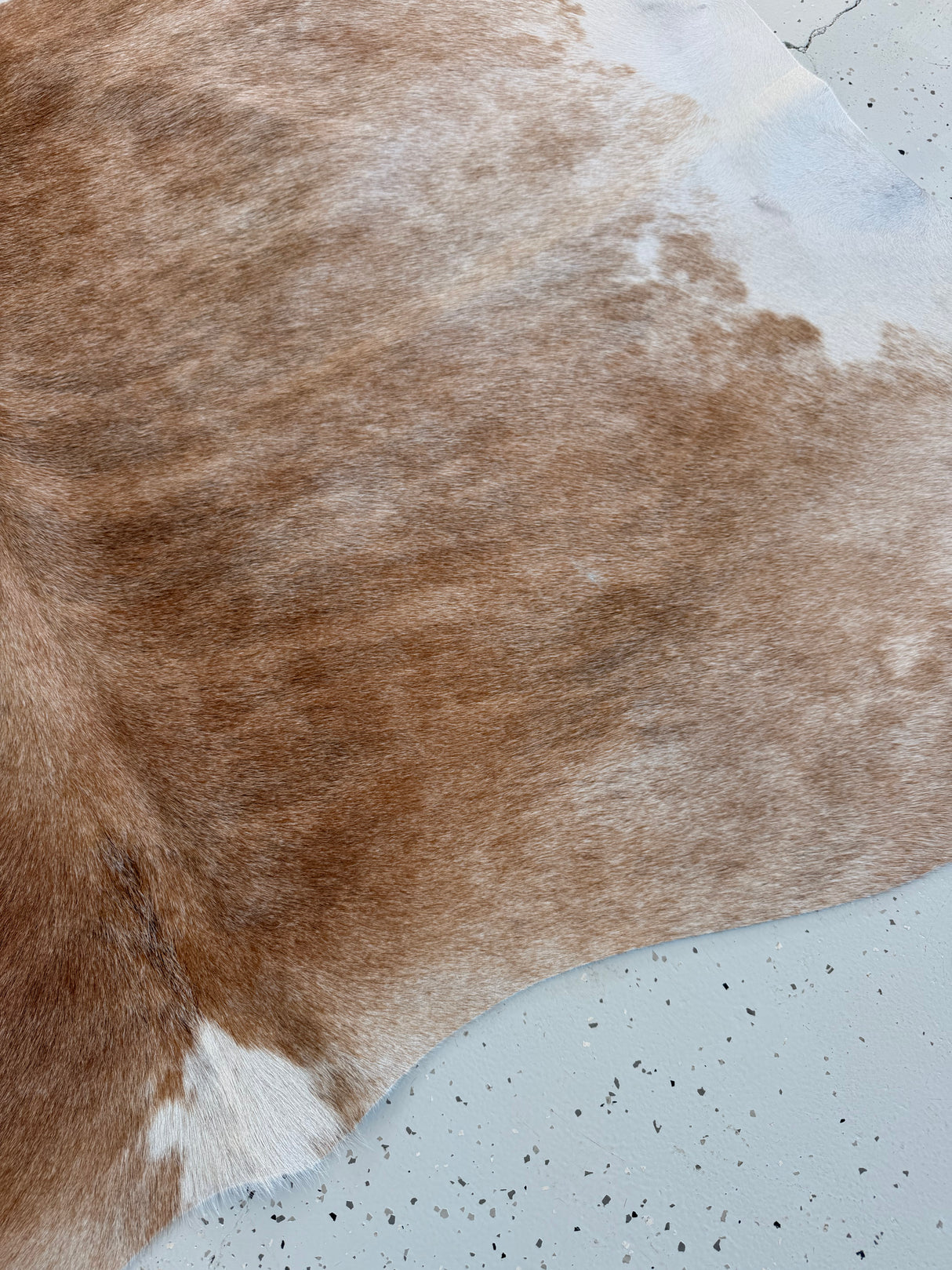 Genuine Cowhide Floor Rug 1208