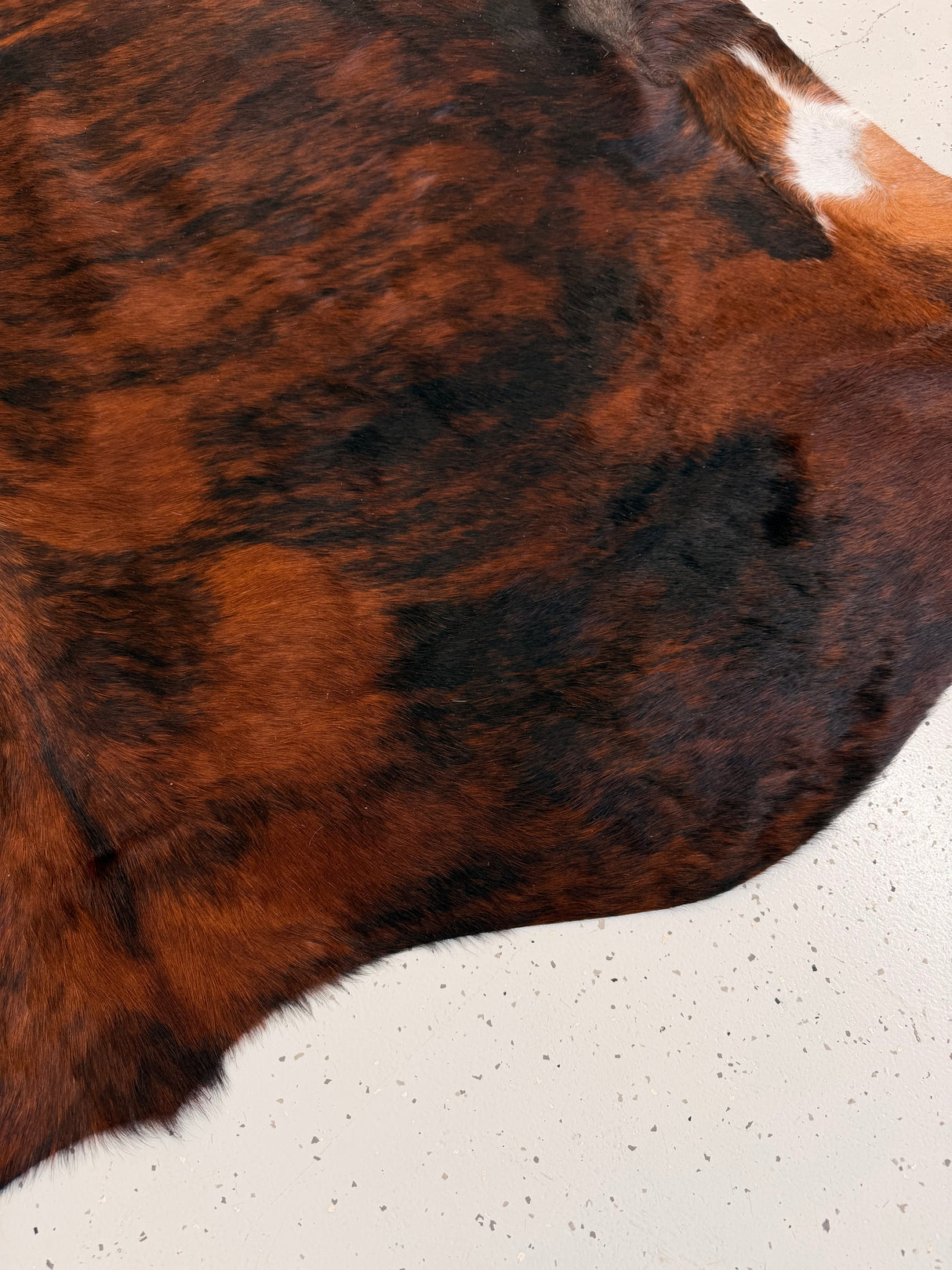 Genuine Cowhide Floor Rug 1214