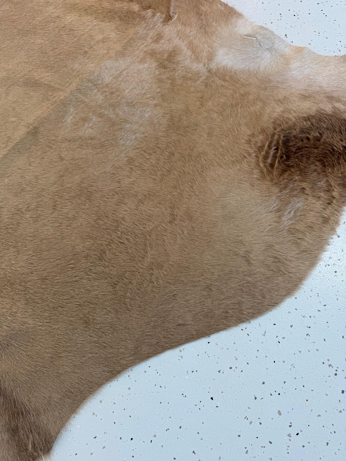 Genuine Cowhide Floor Rug 1217