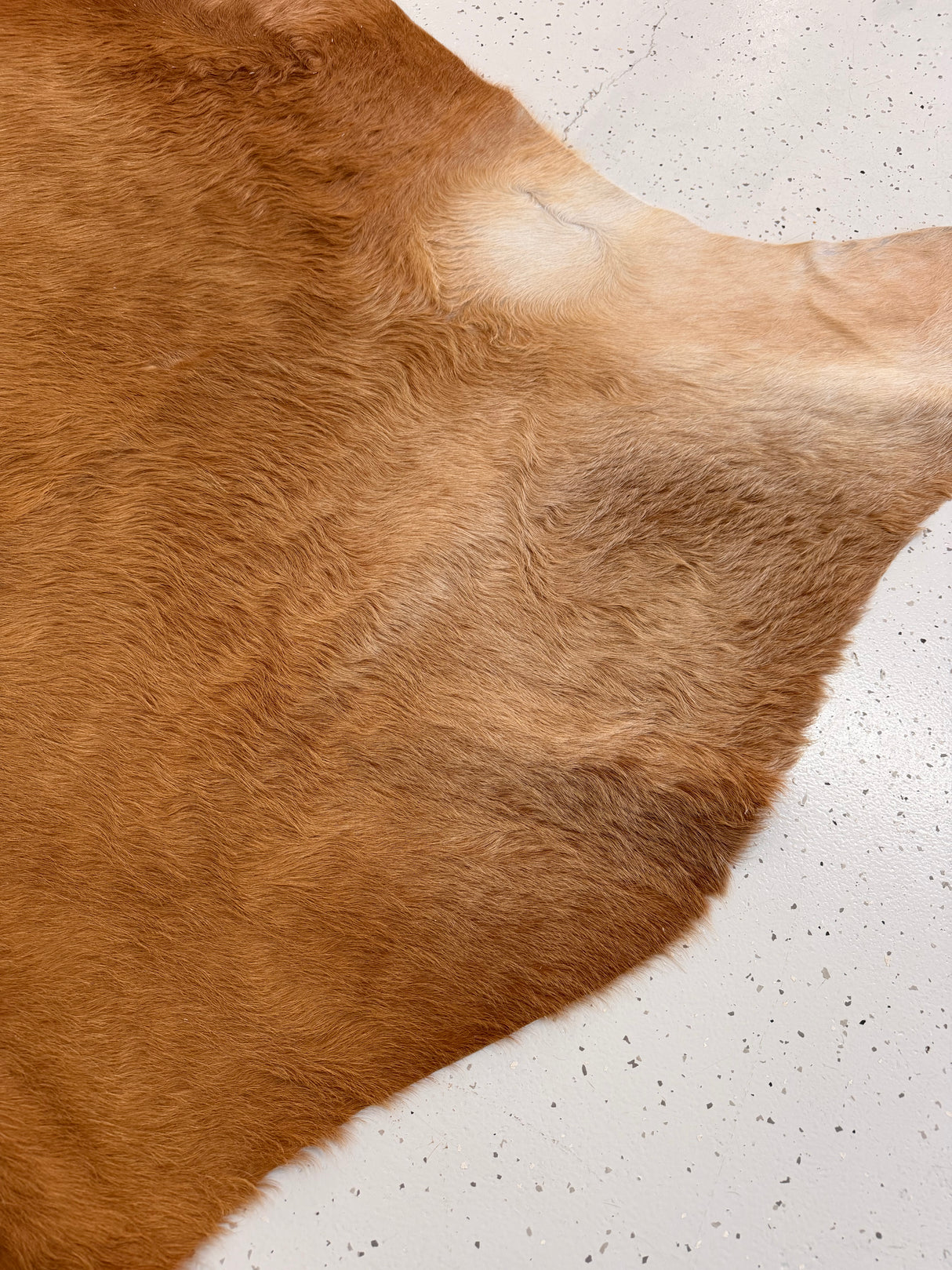 Genuine Cowhide Floor Rug 1218