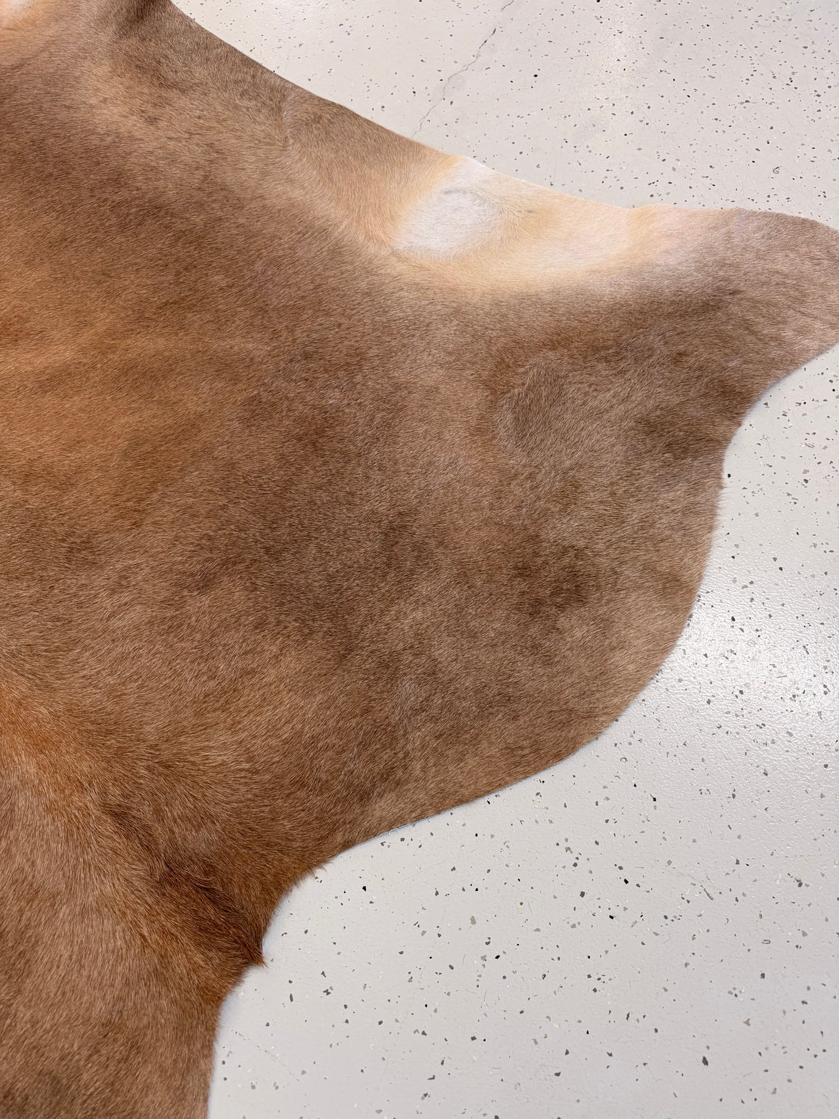 Genuine Cowhide Floor Rug 1219