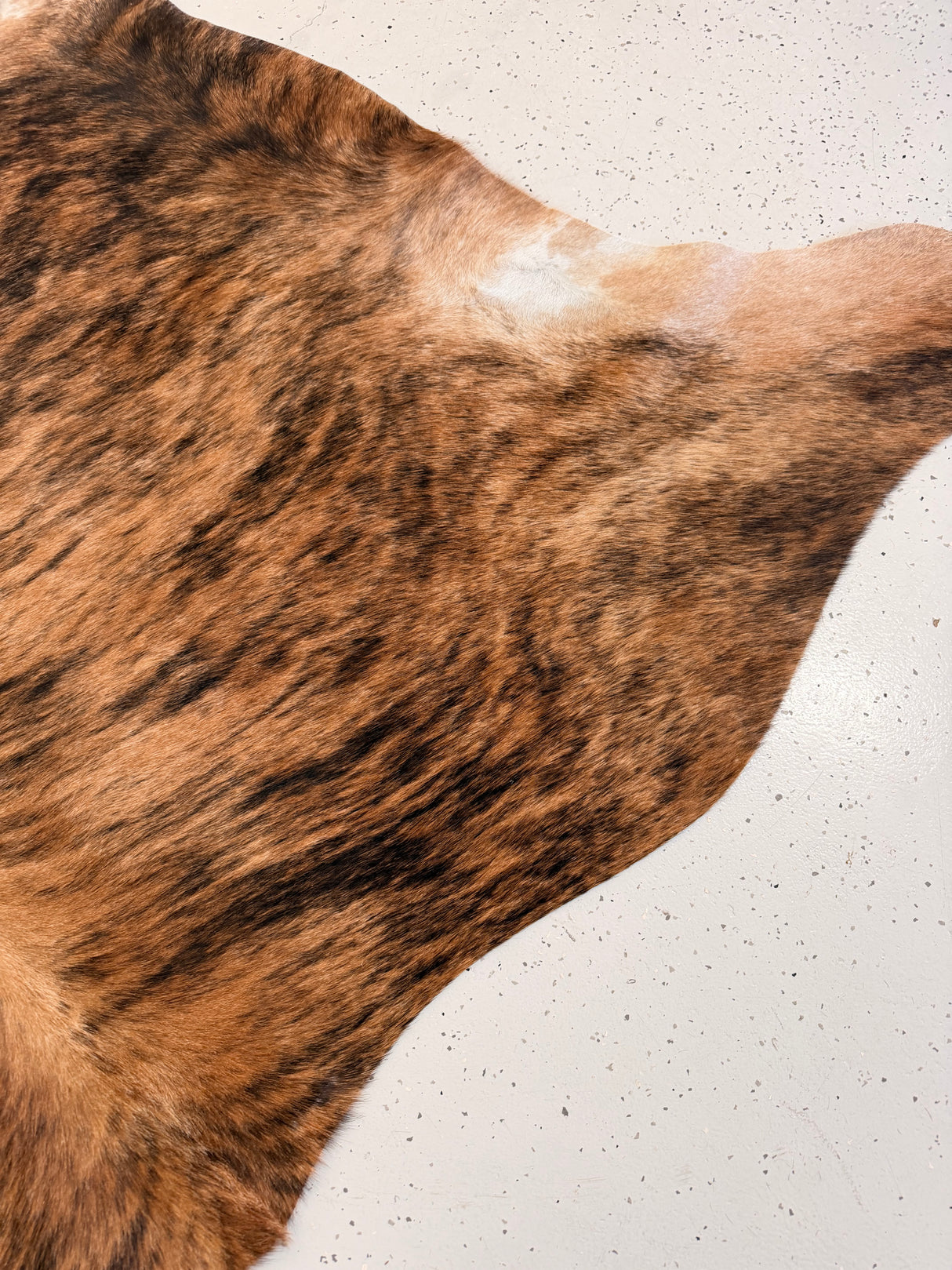 Genuine Cowhide Floor Rug 1220