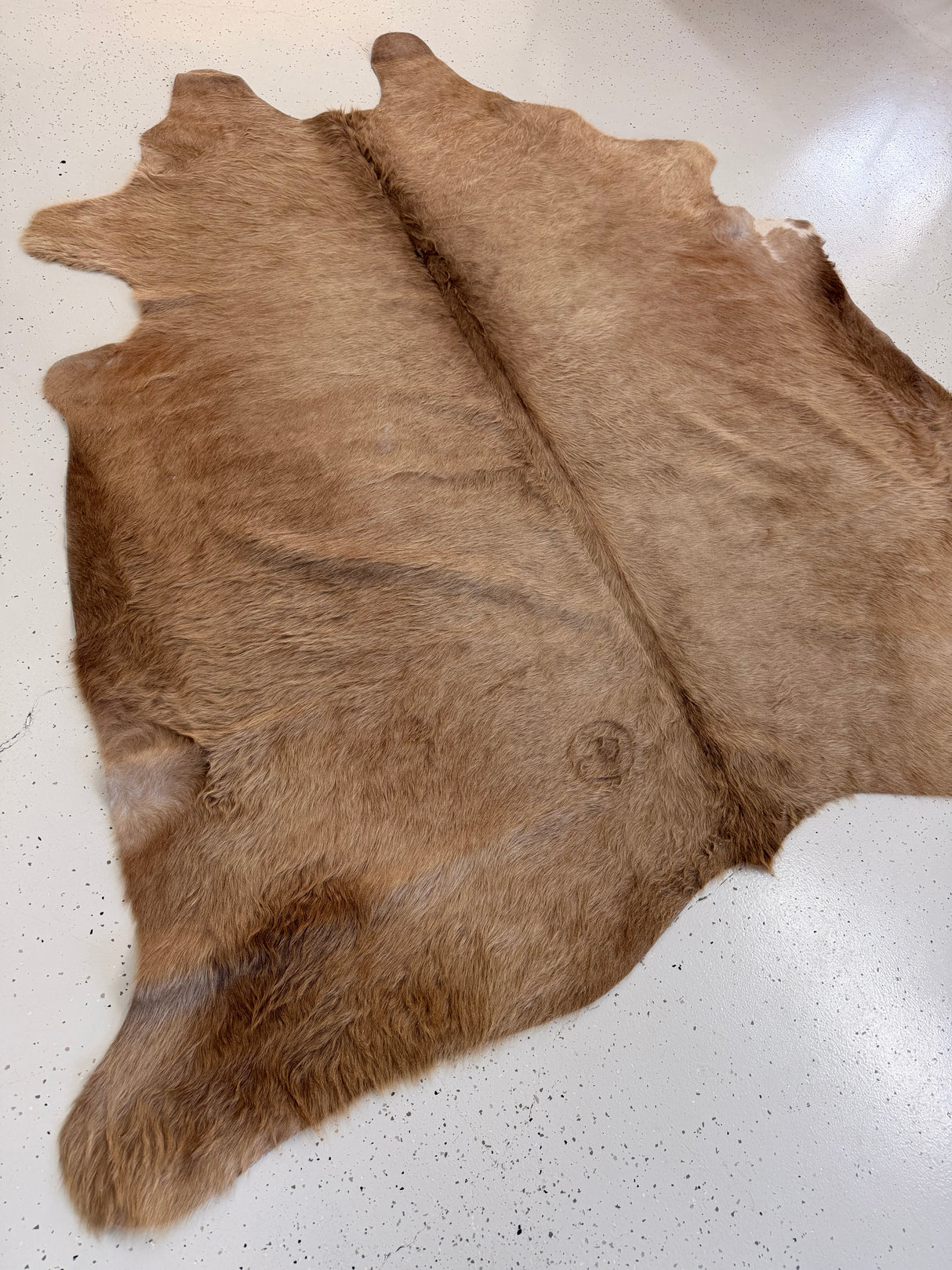 Genuine Cowhide Floor Rug 1222