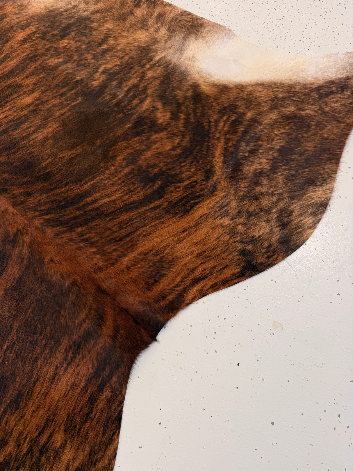 Genuine Cowhide Floor Rug 1224