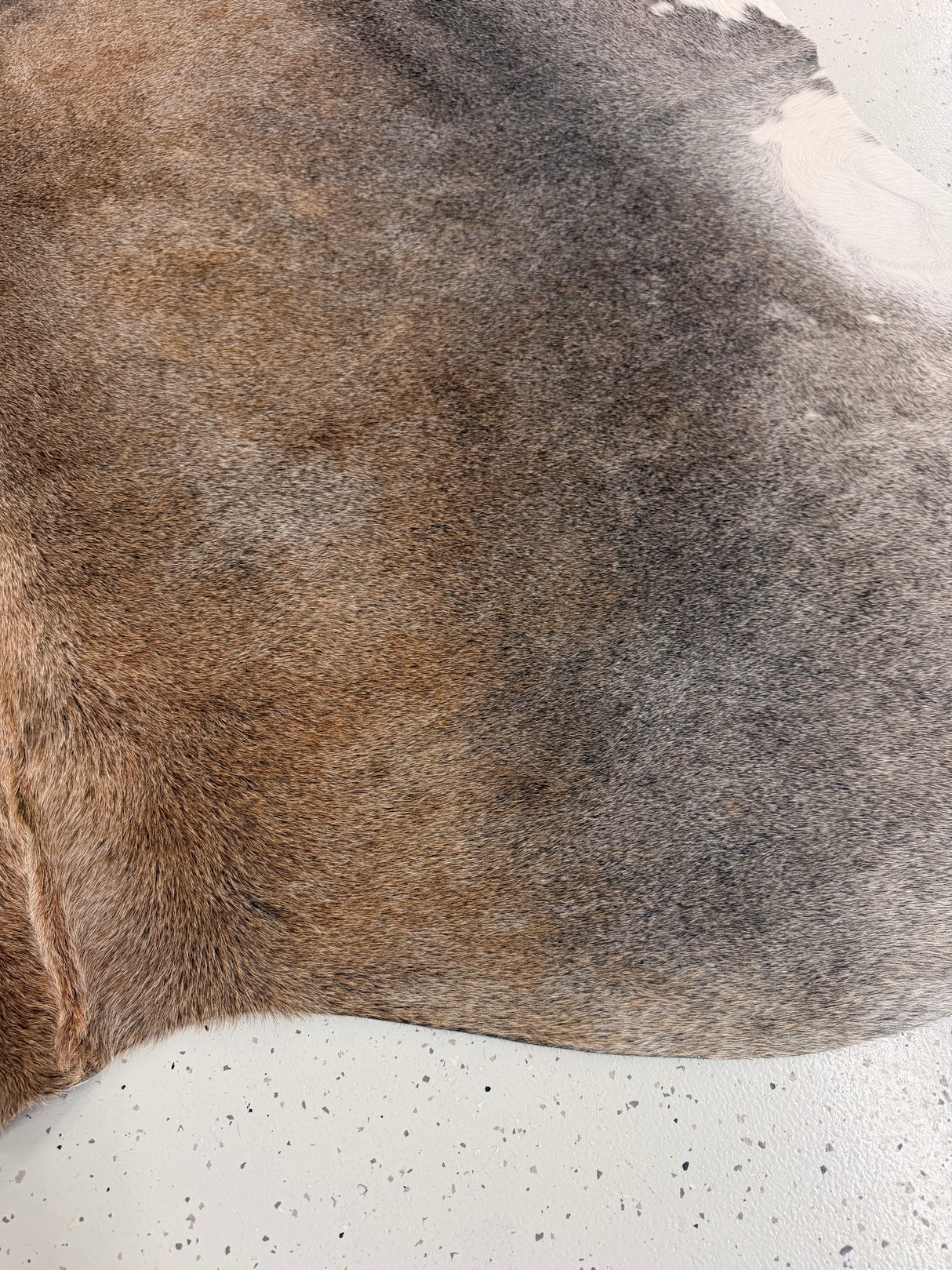 Genuine Cowhide Floor Rug 1287
