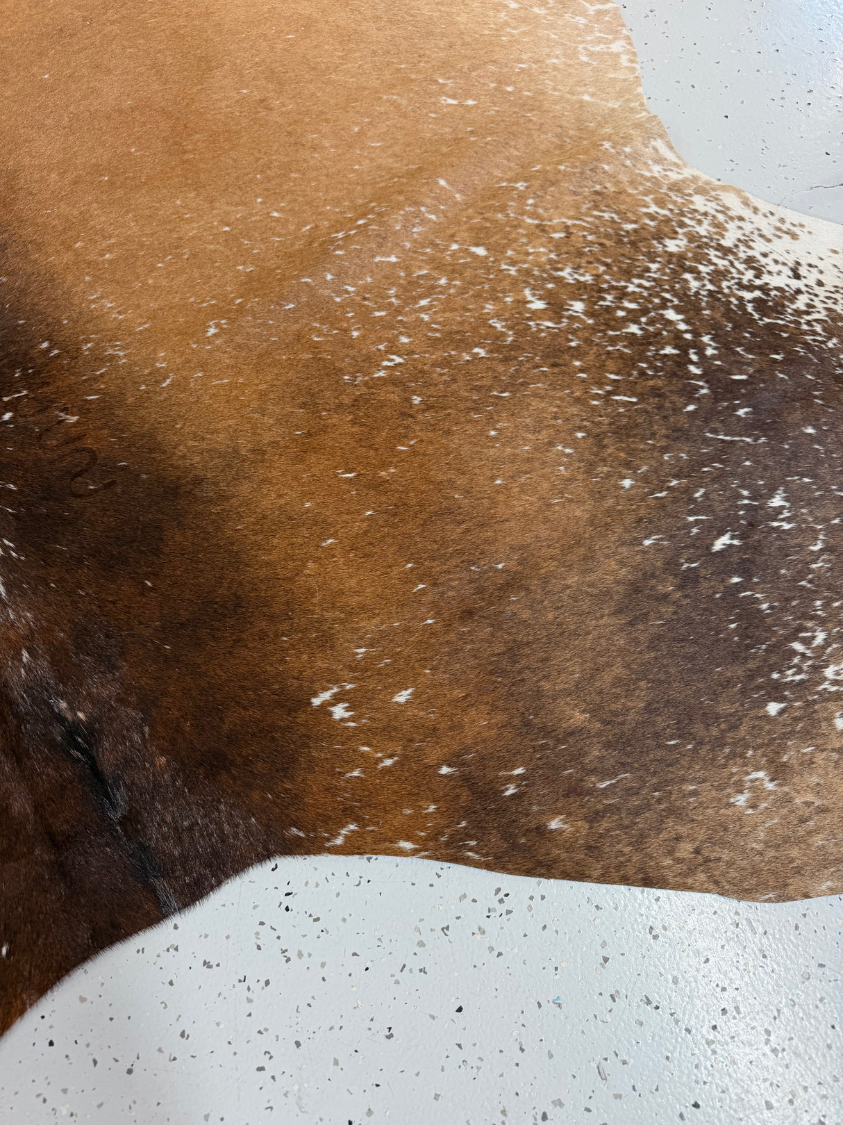 Genuine Cowhide Floor Rug 1310
