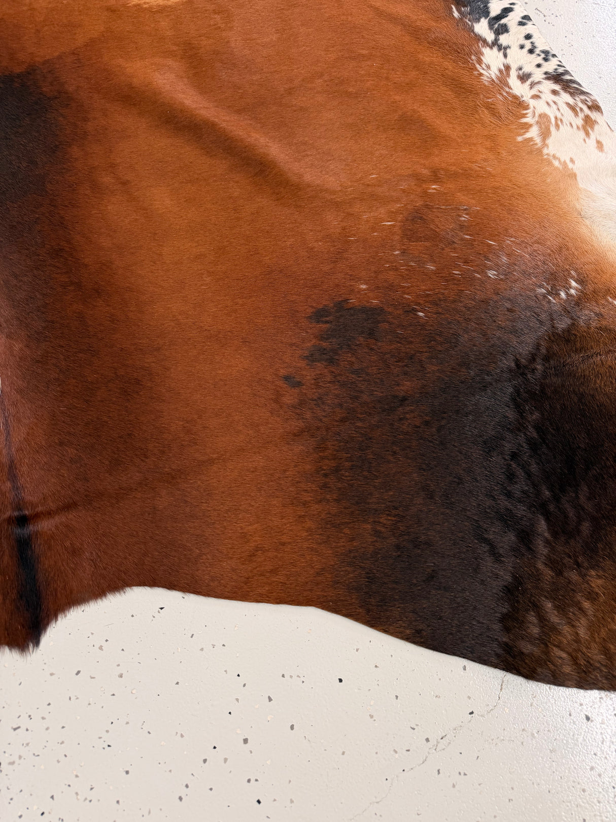 Genuine Cowhide Floor Rug 1325