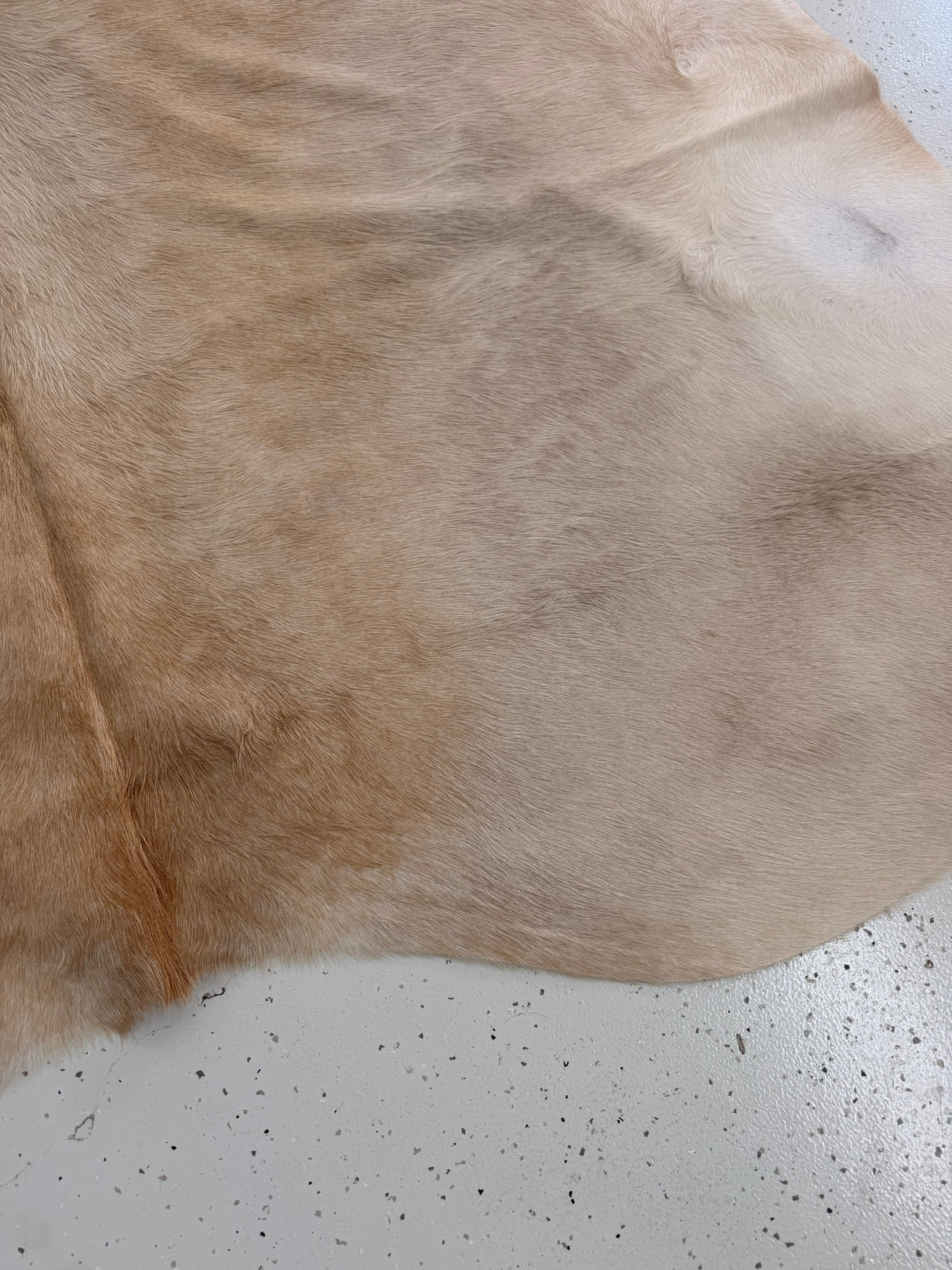 Genuine Cowhide Floor Rug 1328