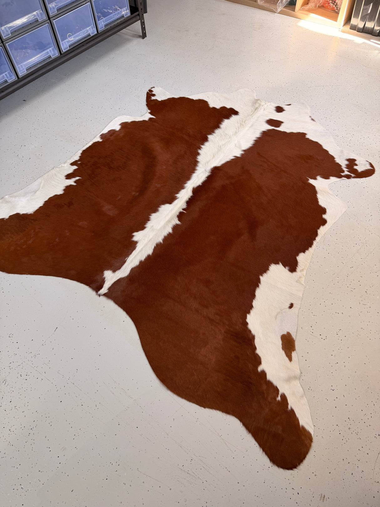 Genuine Cowhide Floor Rug 235-1