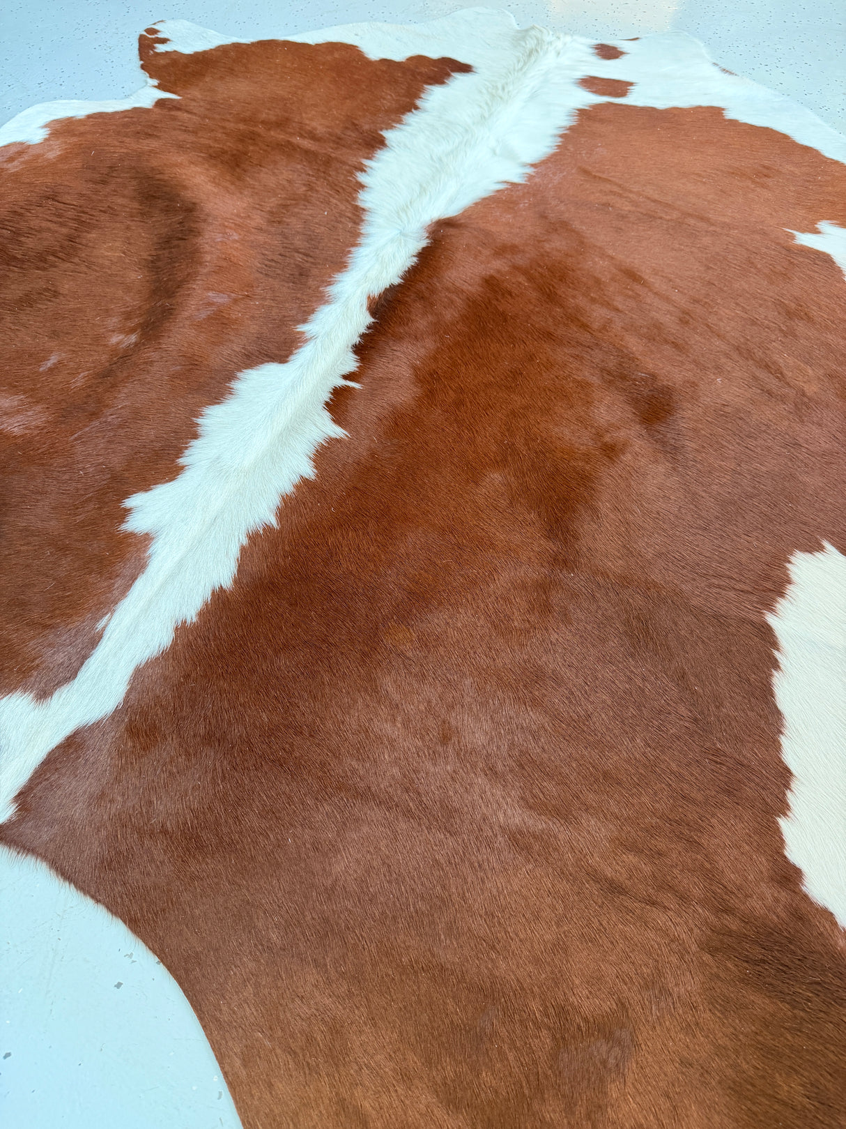 Genuine Cowhide Floor Rug 235-1