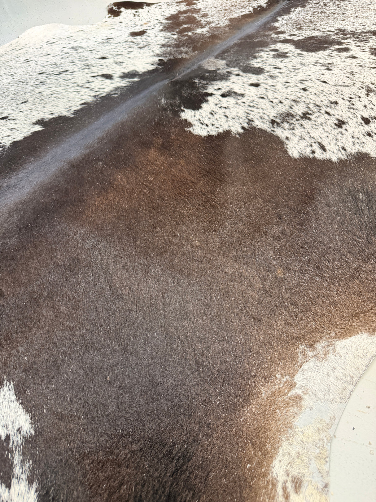 Genuine Cowhide Floor Rug 1122