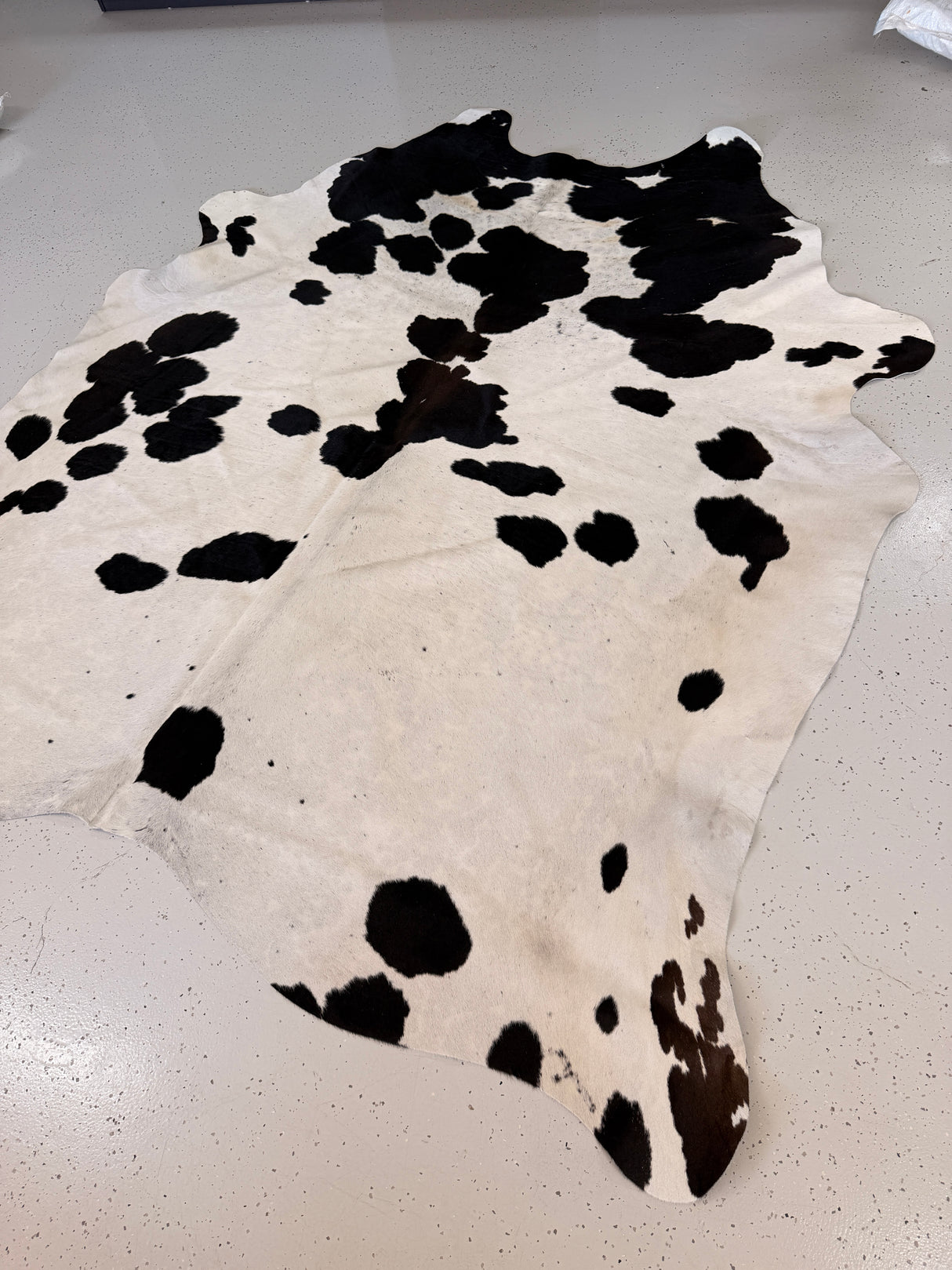 Genuine Cowhide Floor Rug 725