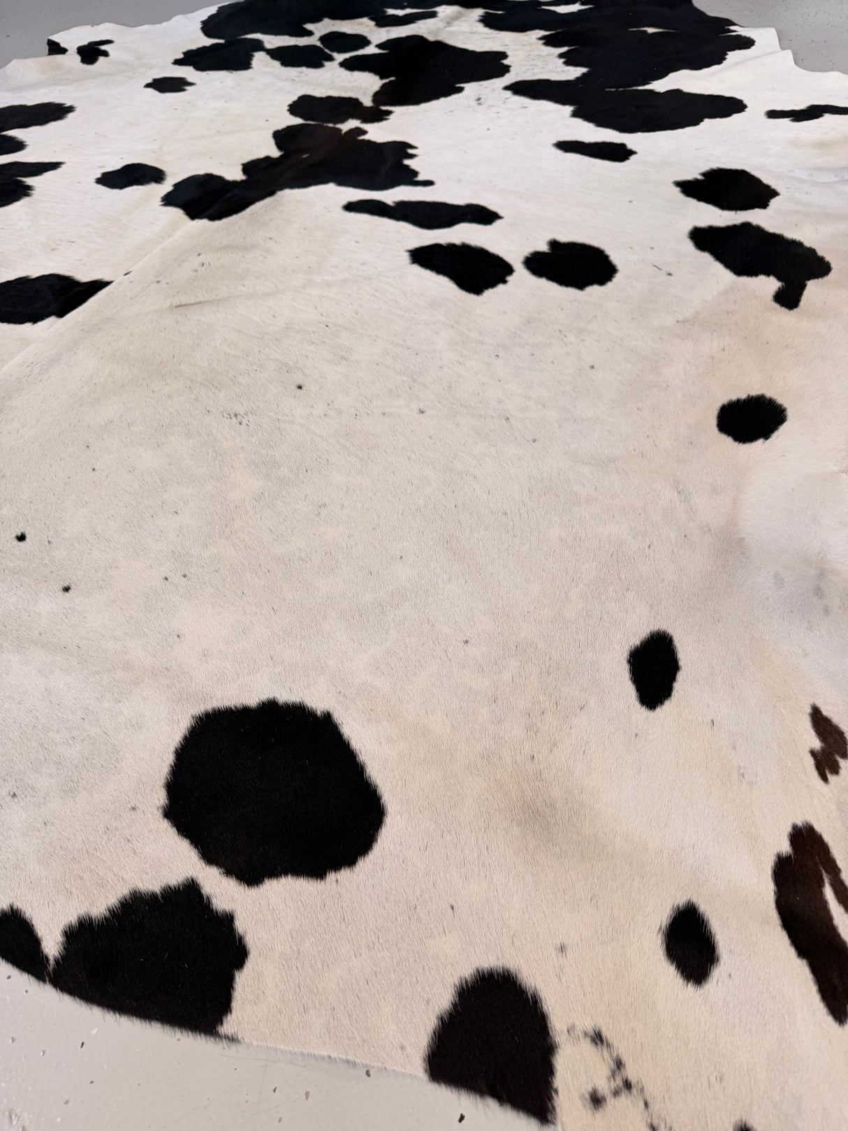 Genuine Cowhide Floor Rug 725