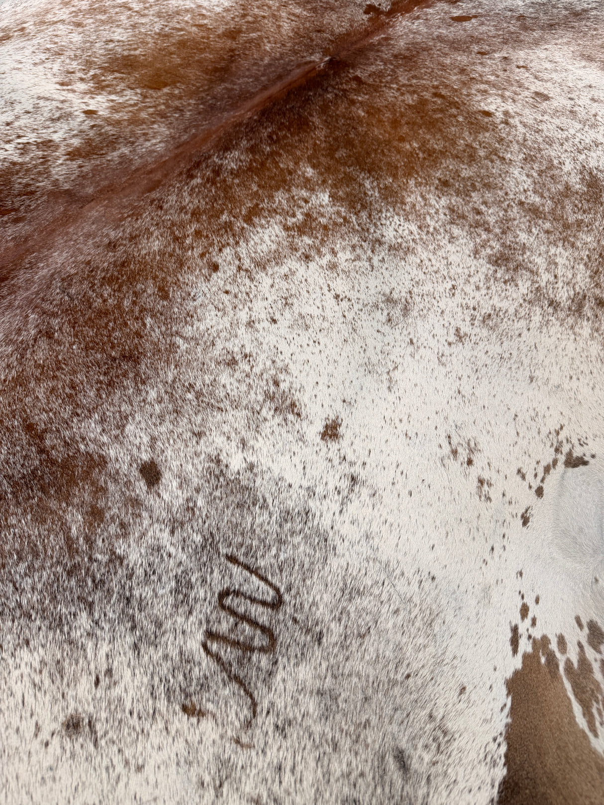 Genuine Cowhide Floor Rug 913