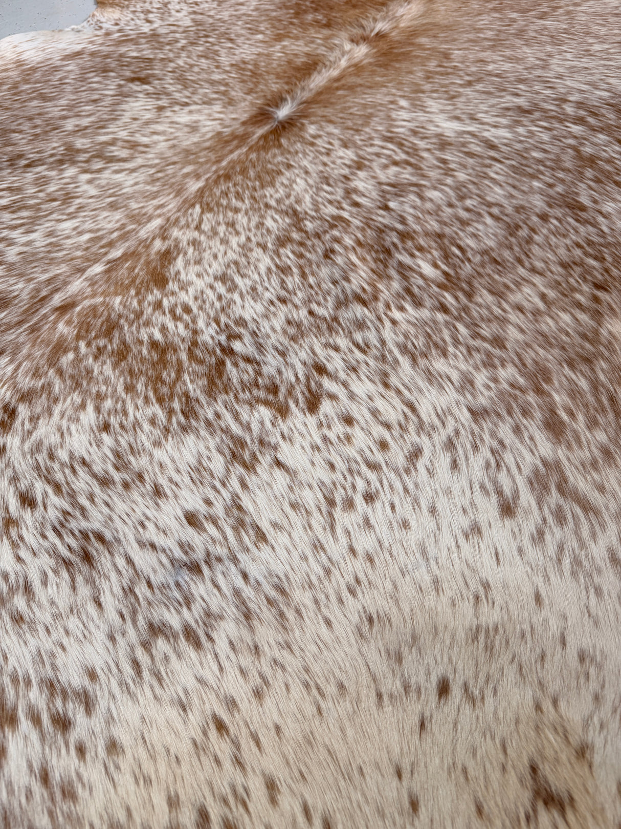 Genuine Cowhide Floor Rug 478-1