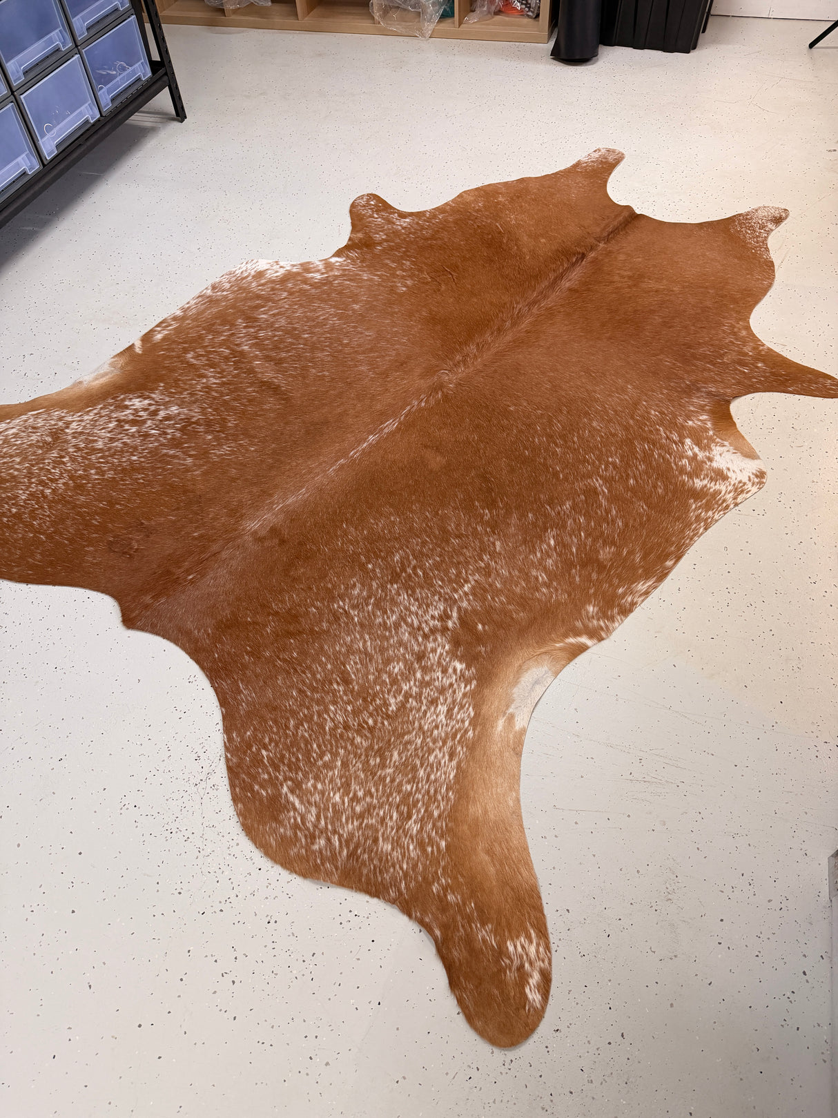 Genuine Cowhide Floor Rug 905