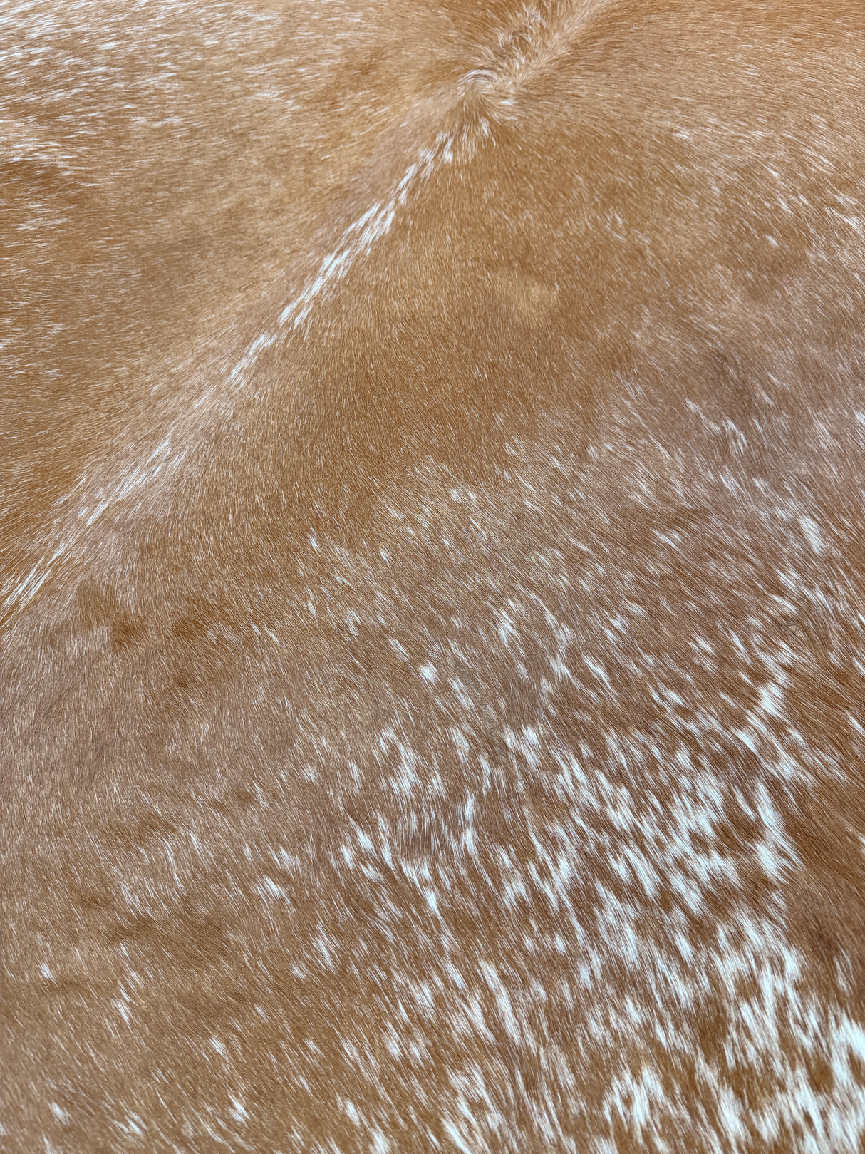 Genuine Cowhide Floor Rug 905