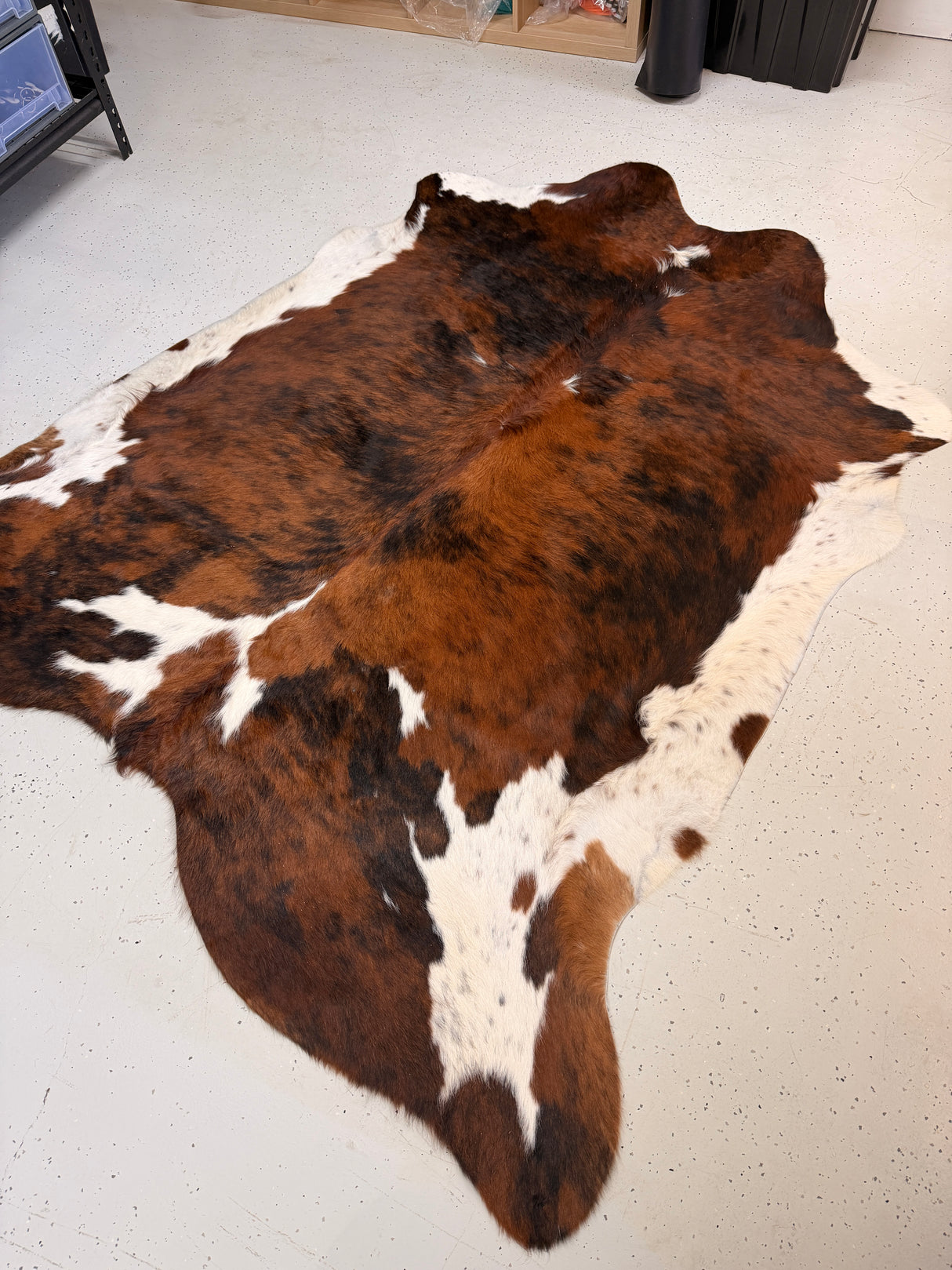 Genuine Cowhide Floor Rug 844