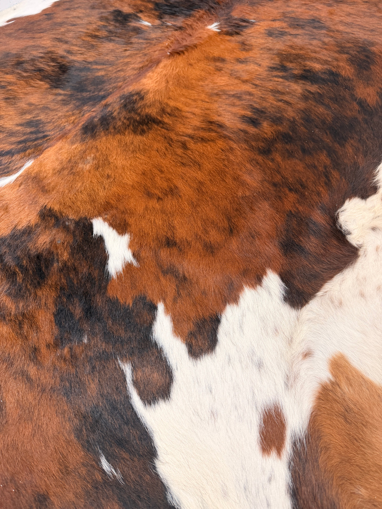 Genuine Cowhide Floor Rug 844