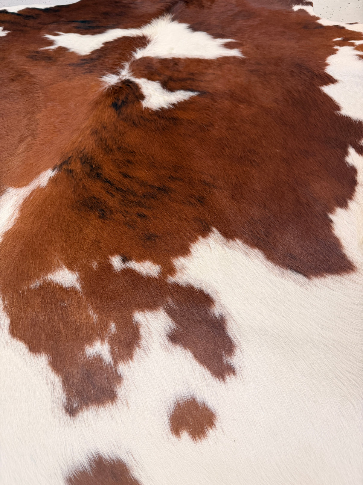 Genuine Cowhide Floor Rug 803