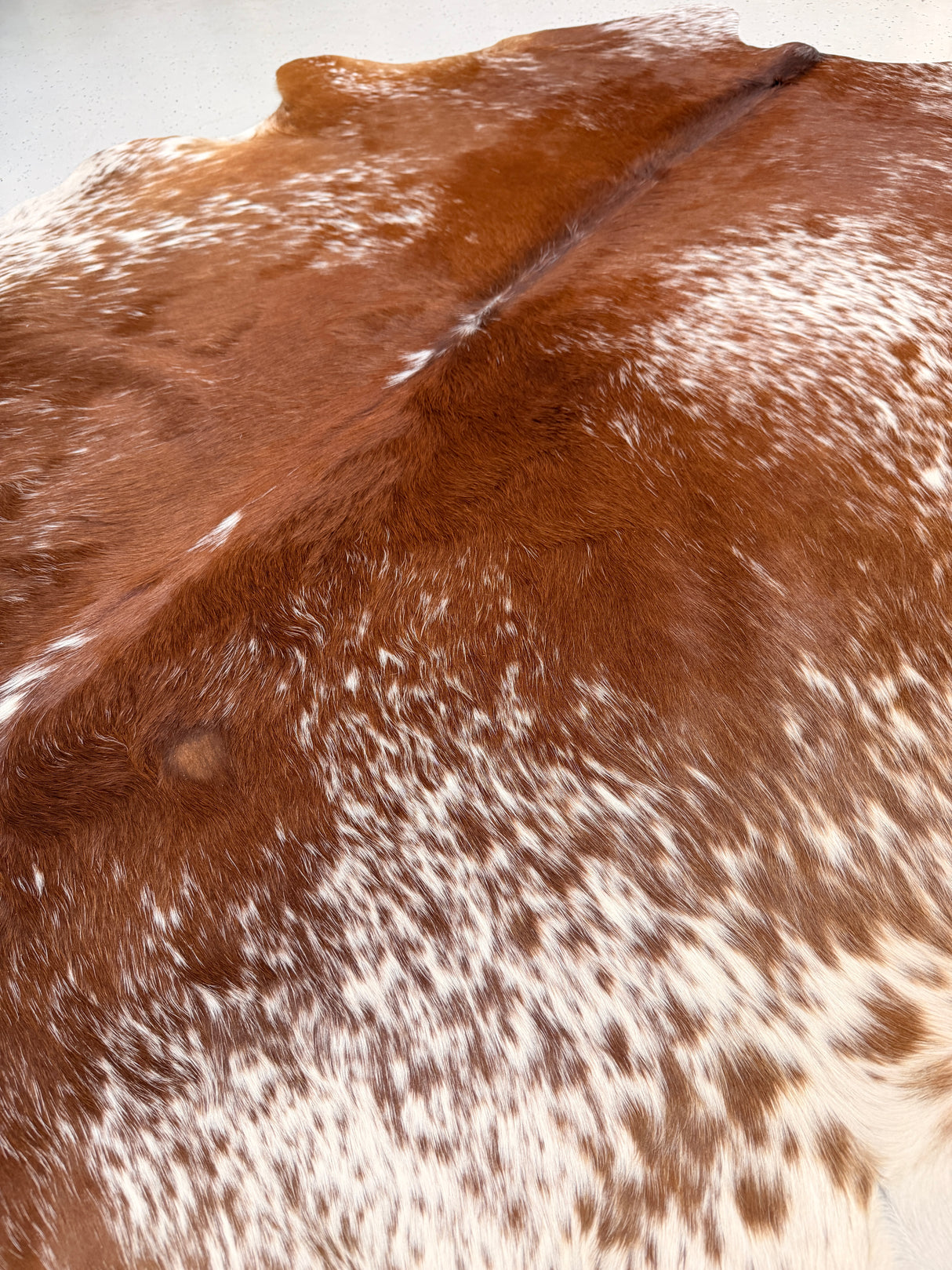 Genuine Cowhide Floor Rug 494